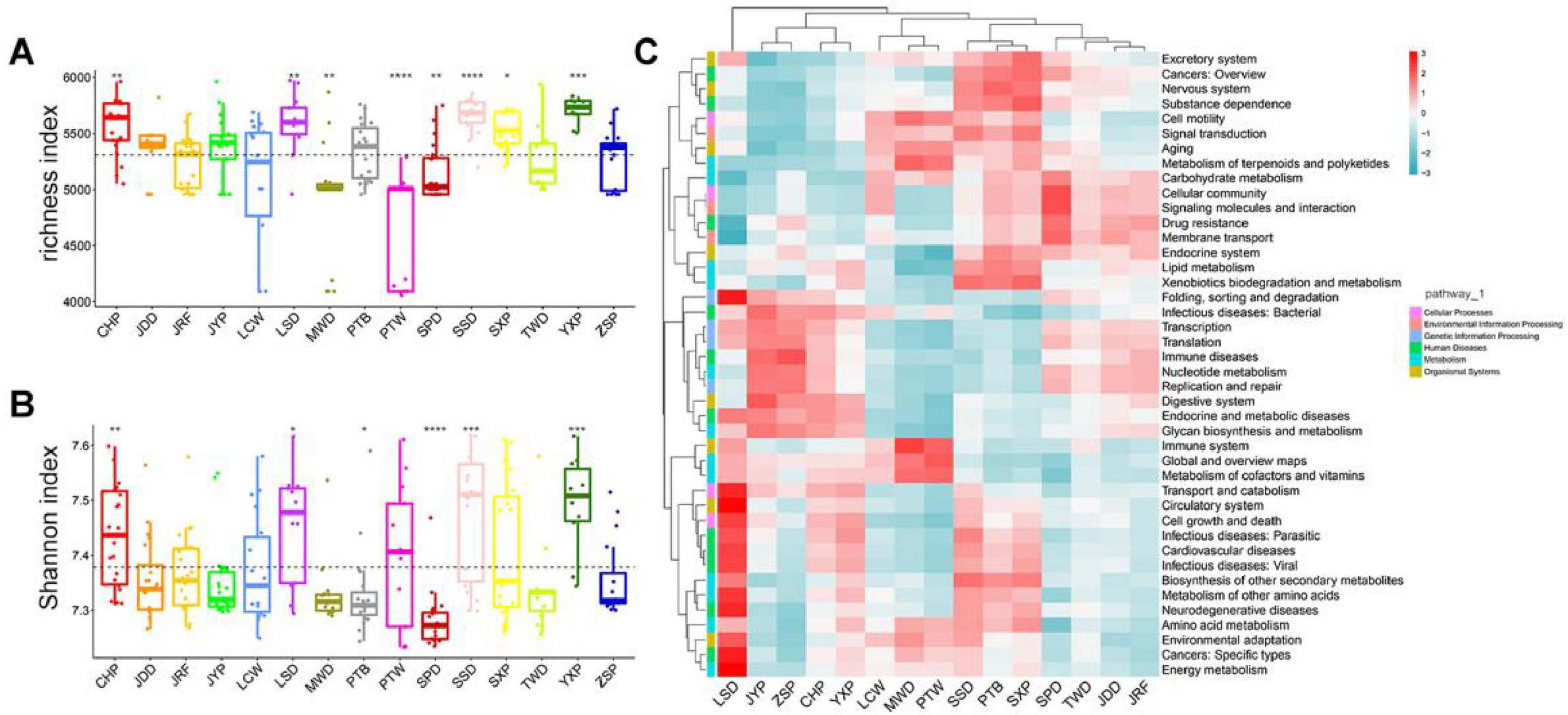 Boxplots A and B display Richness Index and Shannon Index data for various groups, with each group in a different color. Panel C is a heatmap showing pathways, with varying shades of red and blue indicating high and low values, respectively, across different biological categories.