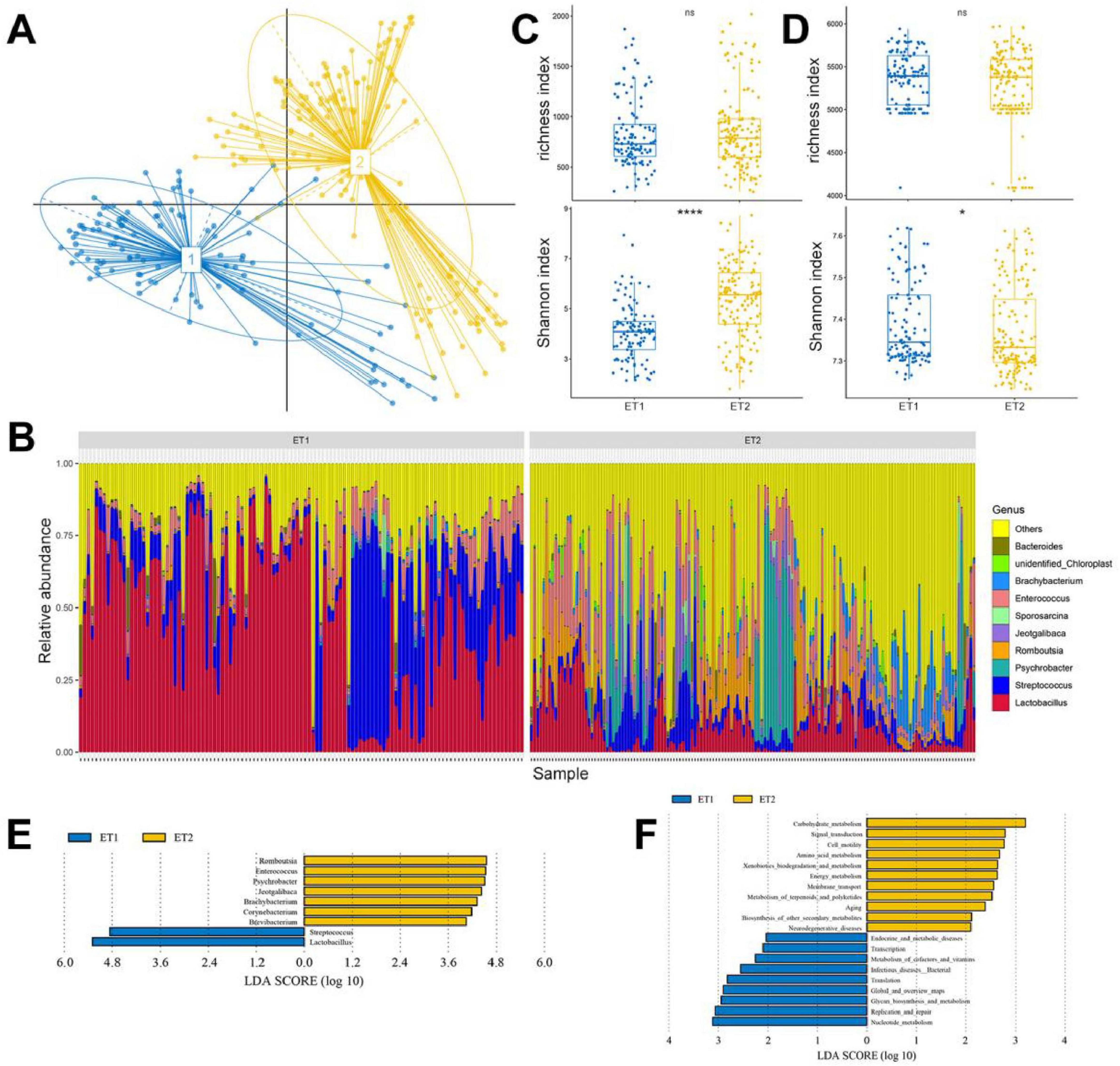 Panel A depicts a PCA plot comparing two groups, colored blue and yellow, with distinct clusters. Panel B shows a stacked bar chart indicating relative abundance of various genera in ET1 and ET2 samples. Panels C and D feature box plots comparing richness and Shannon indices between ET1 and ET2, showing statistical significance. Panel E presents an LDA score bar chart for specific genera in ET1 vs. ET2. Panel F provides another LDA score chart highlighting significant microbial differences between the groups.