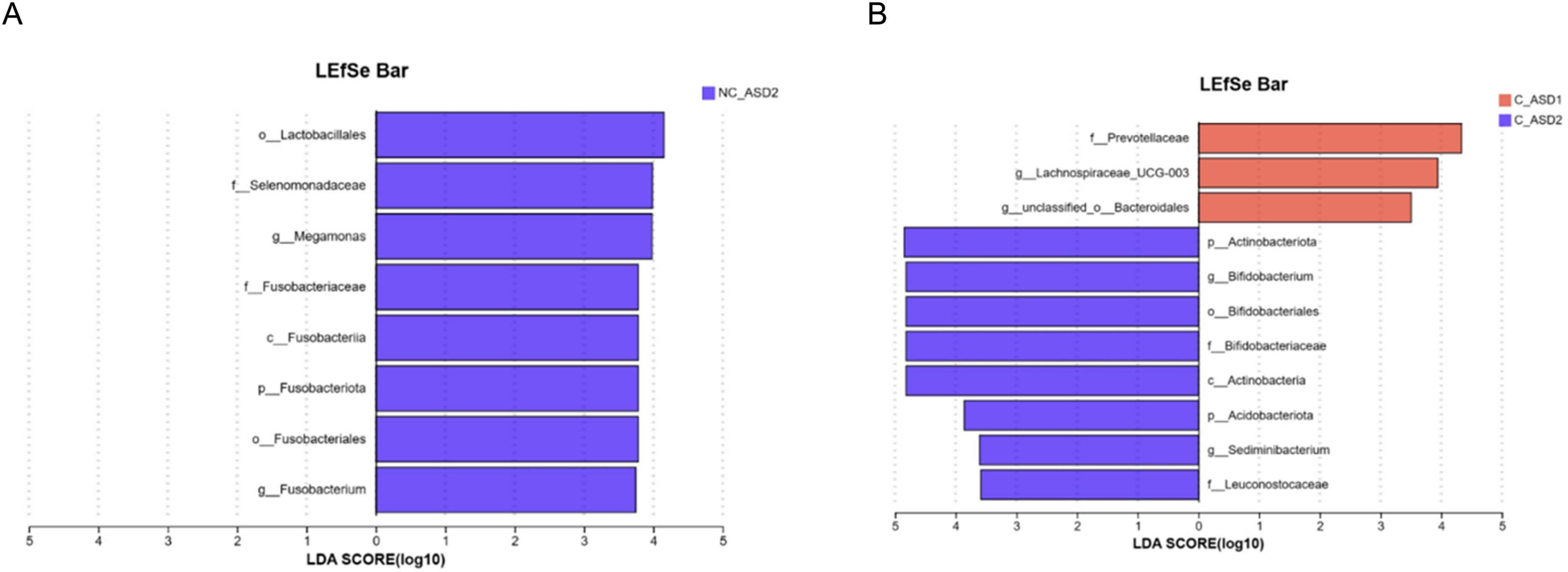 Two bar charts labeled A and B, titled “LEfSe Bar,” display LDA scores in log base ten. Chart A, in blue for “NC_A5D2,” lists eight taxa with a maximum LDA score of 5. Chart B shows both “C_A5D1” in red and “C_A5D2” in blue, with ten taxa. Three red bars and seven blue bars are present, also with a maximum LDA score of 5.