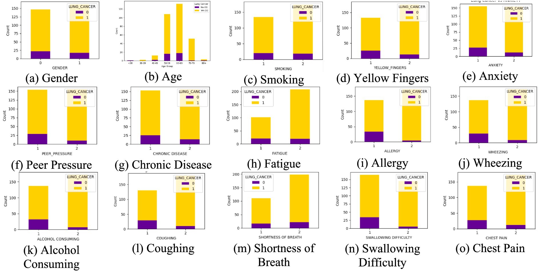 Multiple bar charts depict the relationship between various factors and lung cancer incidence. Each chart represents one factor, such as gender, age, smoking, yellow fingers, anxiety, peer pressure, chronic disease, fatigue, allergy, wheezing, alcohol consumption, coughing, shortness of breath, swallowing difficulty, and chest pain. The bars, colored in yellow and purple, compare counts for lung cancer presence (1) and absence (0) across these factors.