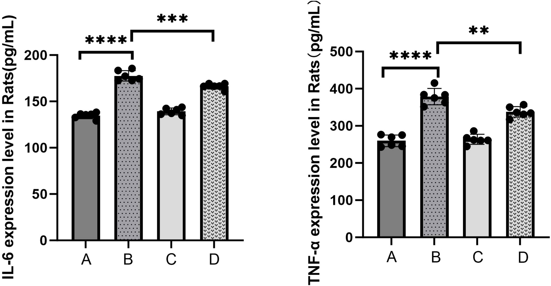 Bar graphs showing IL-6 and TNF-α expression levels in rats. The IL-6 graph shows Group B significantly higher than A, C, and D. The TNF-α graph shows Group B also significantly higher than A, C, and D. Statistical significance is indicated by asterisks.