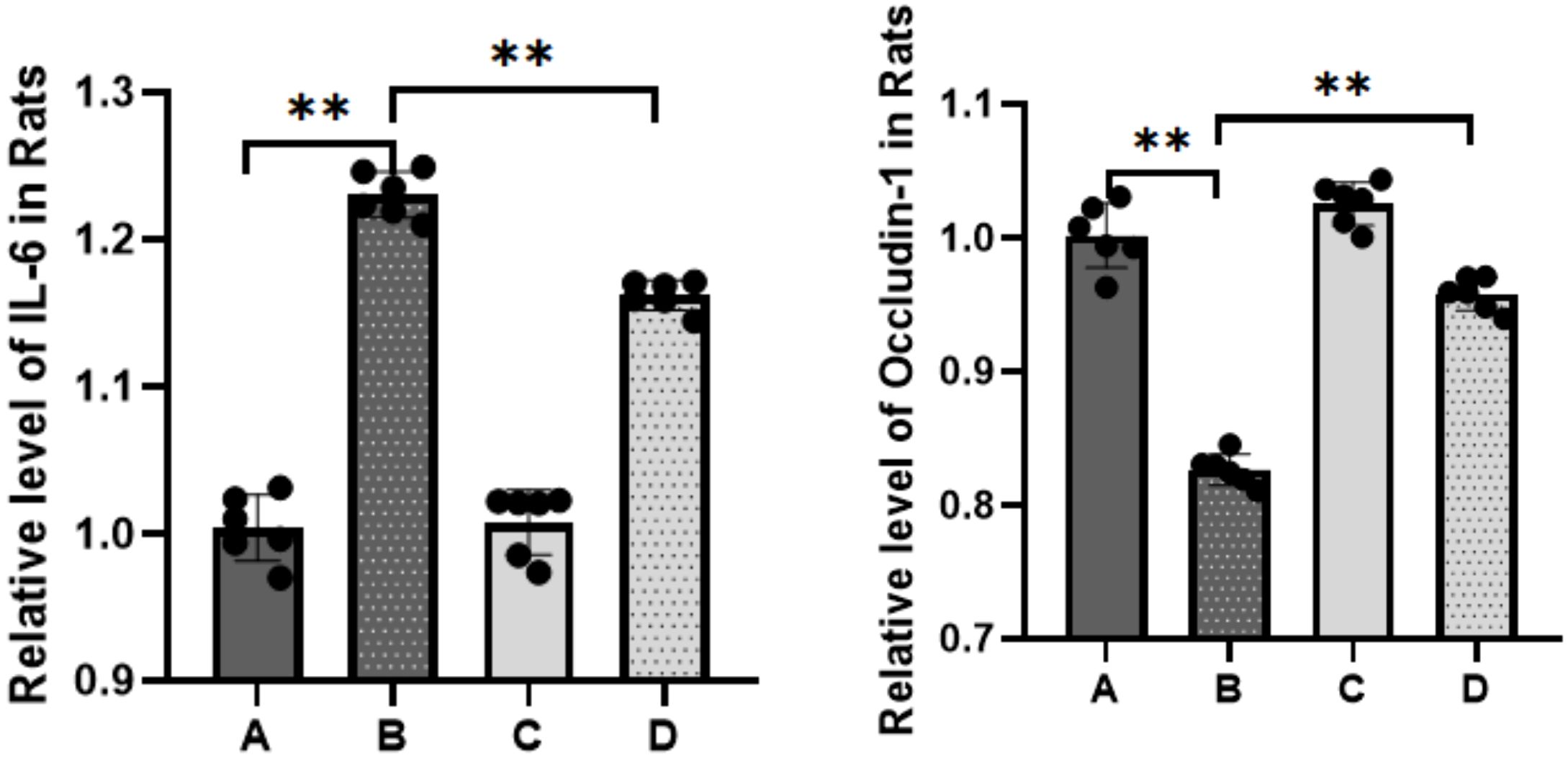 Bar charts comparing the relative levels of IL-6 and Occludin-1 in rats across groups A, B, C, and D. Significant differences are marked by asterisks. For IL-6, group B shows higher levels, while group C is lowest. For Occludin-1, group A is highest, and group B is lowest.