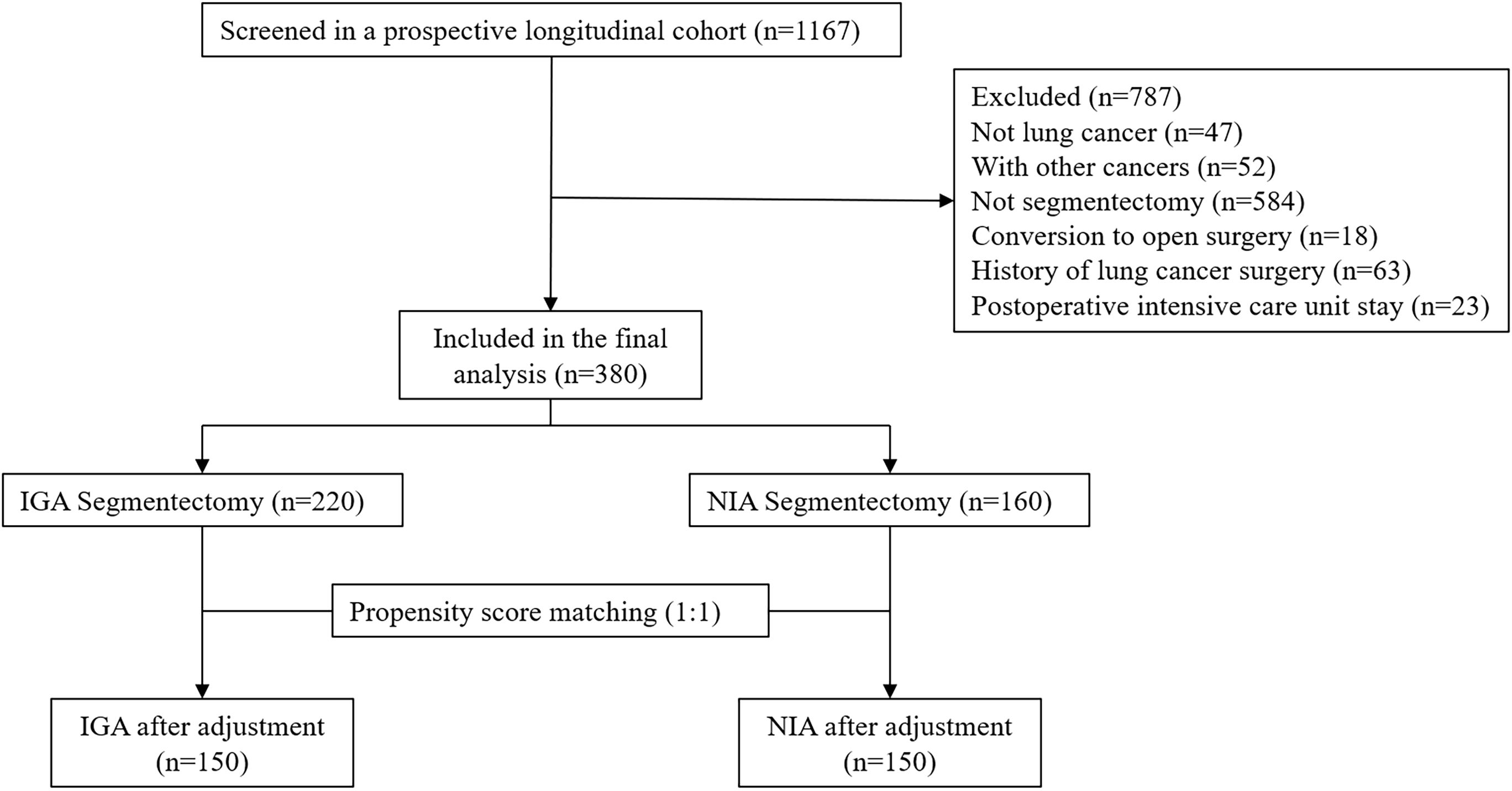 Flowchart showing selection of participants for a study. Initially, 1167 individuals were screened. 787 were excluded for various reasons: not lung cancer (47), other cancers (52), not segmentectomy (584), conversion to open surgery (18), history of lung cancer surgery (63), and postoperative intensive care unit stay (23). 380 were included in the final analysis. From these, 220 underwent IGA segmentectomy and 160 NIA segmentectomy. Propensity score matching resulted in 150 participants in each group after adjustment.