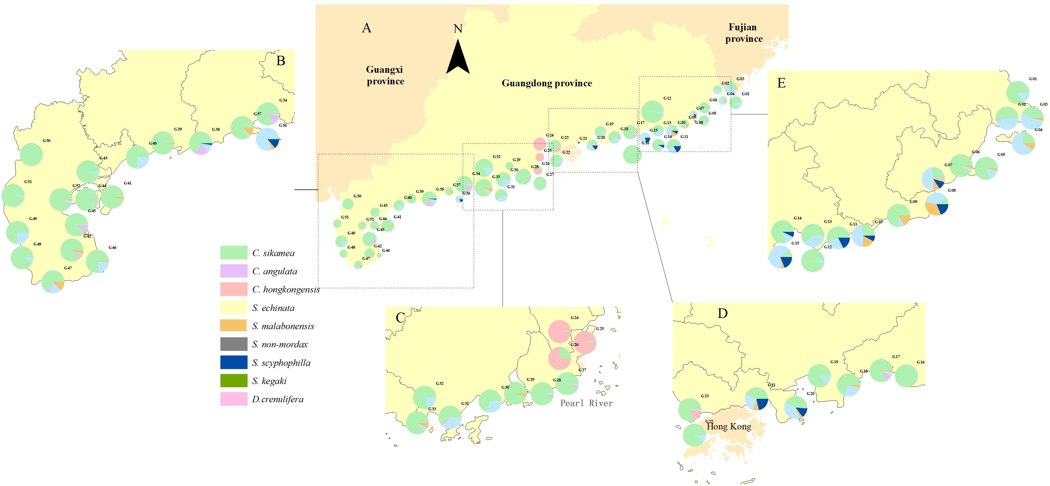 Map of Guangxi, Guangdong, and Fujian provinces with pie charts representing species distribution. Species include C. sikamea, C. angulata, C. hongkongensis, S. echinata, S. malabonensis, S. non-mordax, S. scyphophilla, S. kegaki, and D. cremulifera. The map includes inset sections A, B, C, D, and E for focused views.