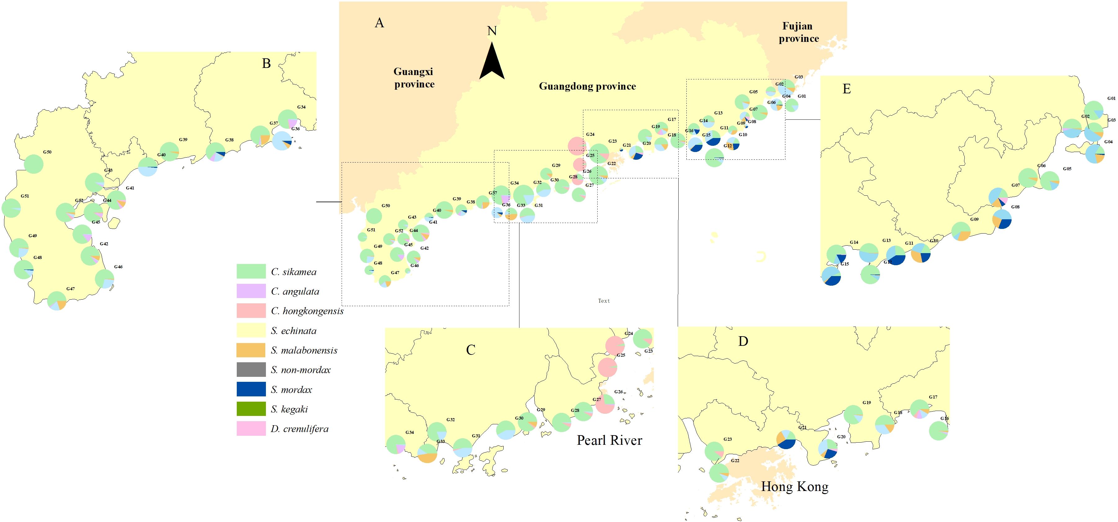 Map of coastal regions in southern China, showing Guangdong, Guangxi, and Fujian provinces. Pie charts at various coastal locations represent the distribution of ten species: C. sikamea, C. angulata, C. hongkongensis, S. echinata, S. malabonensis, S. non-mordax, S. mordax, S. kegaki, and D. crenulifera. Each species is color-coded and labeled in a legend. Major areas highlighted include the Pearl River and Hong Kong.
