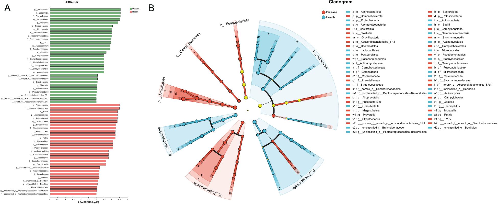 Panel A displays a LEfSe bar chart, with taxa identified by linear discriminant analysis score. Health-related taxa are green; disease-related are red. Panel B is a cladogram showing the phylogenetic distribution of microorganisms, with health-associated taxa in blue and disease-associated in red. The legend beside the cladogram identifies the taxa.