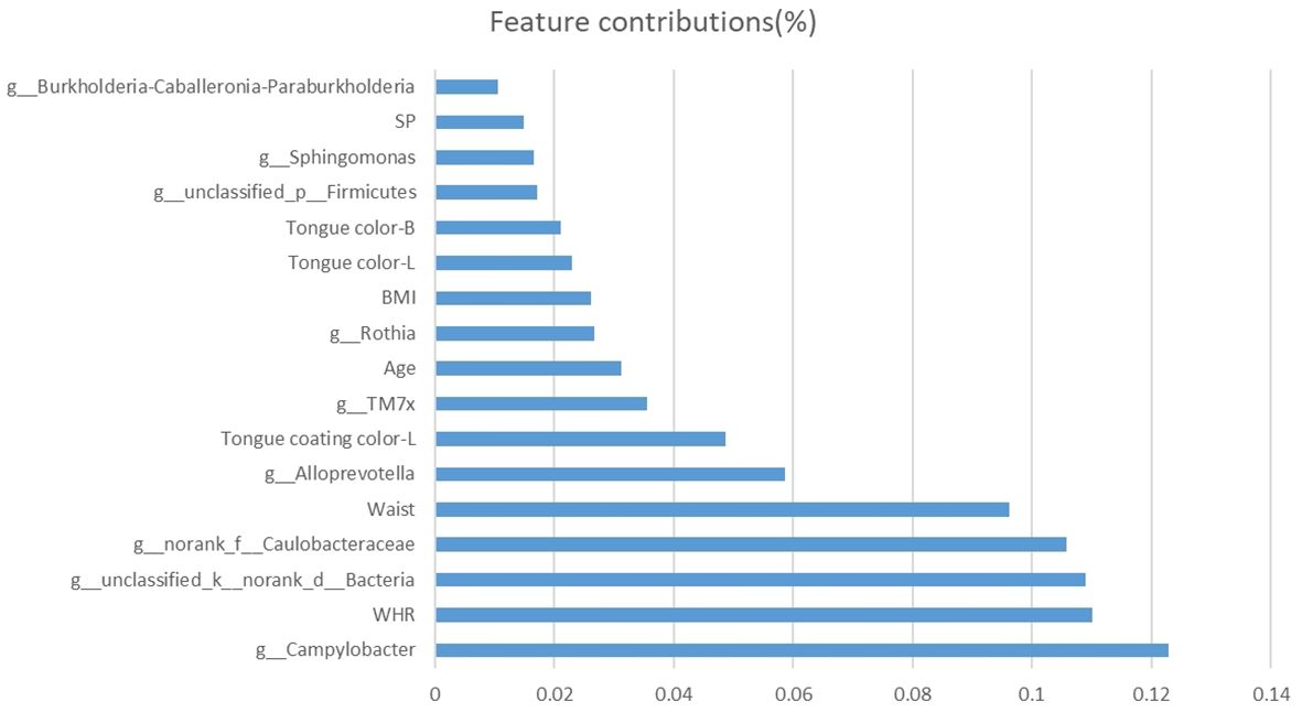 Horizontal bar chart showing feature contributions in percentage. The features include various bacterial genera, tongue colors, BMI, age, waist, WHR, and others. The top contributing features are *Campylobacter* at approximately 0.13%, followed by WHR, *Bacteria*, *Caulobacteraceae*, and Waist, each around 0.11%. Other features contribute less than 0.08%.