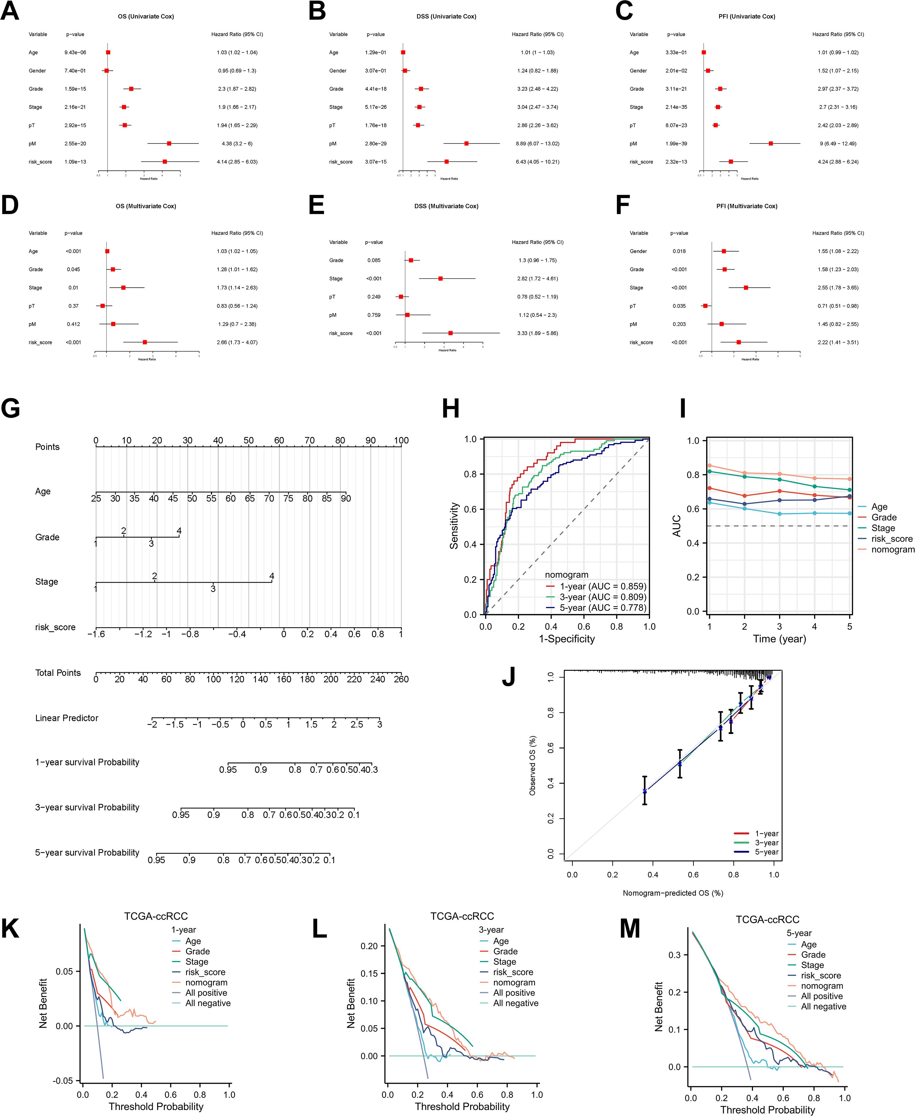 A series of medical data visualizations analyzing cancer outcomes. Charts A to F display hazard ratios and confidence intervals for variables like age, gender, and stage across different survival outcomes using forest plots. G presents a nomogram for predicting one, three, and five-year survival probabilities based on factors like age and risk score. H and I show ROC curves and AUC values for predictive accuracy over time. J is a calibration plot comparing observed and predicted survival probabilities. K, L, and M are decision curve analyses evaluating net benefit for different predictors over one, three, and five years.