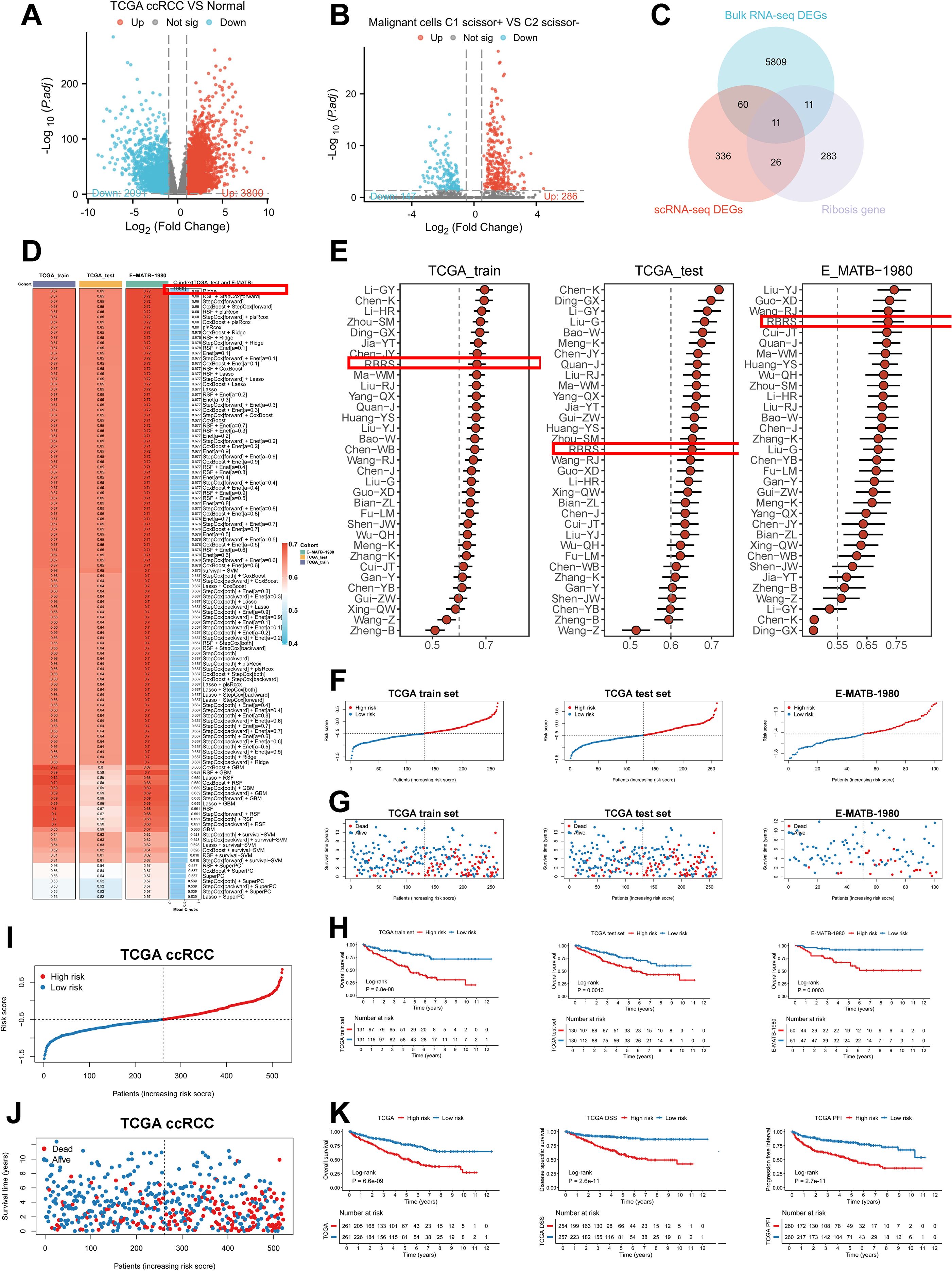 Composite image consisting of multiple panels. Panel A and B show volcano plots with red and blue dots representing gene expression changes. Panel C is a Venn diagram comparing differentially expressed genes from various sequencing methods. Panel D displays a heatmap of gene expression. Panel E includes dot plots comparing training and test datasets. Panels F and G show risk score curves and scatter plots for different patient datasets. Panels H, I, J, and K present Kaplan-Meier survival curves with high and low-risk stratifications, showing differences in survival outcomes.