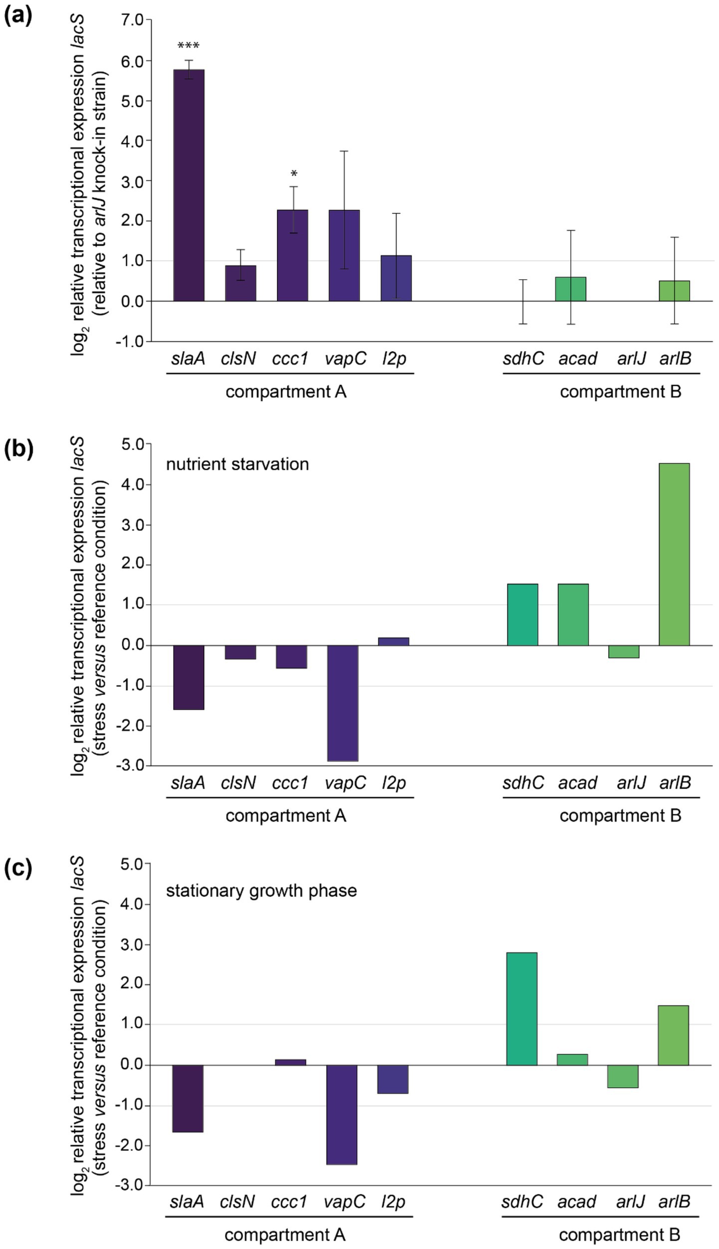 Bar graphs showing log2 relative transcriptional expression of lacS in compartments A and B under different conditions. Panel (a) shows expression in compartment A with slaA showing a significant increase and other genes having various levels of expression. Panel (b) presents expression under nutrient starvation, showing decreased expression in compartment A and increased expression in arlB from compartment B. Panel (c) indicates expression during the stationary growth phase, with decreased expression in compartment A and increased expression in arlJ and arlB from compartment B. Error bars represent variability.