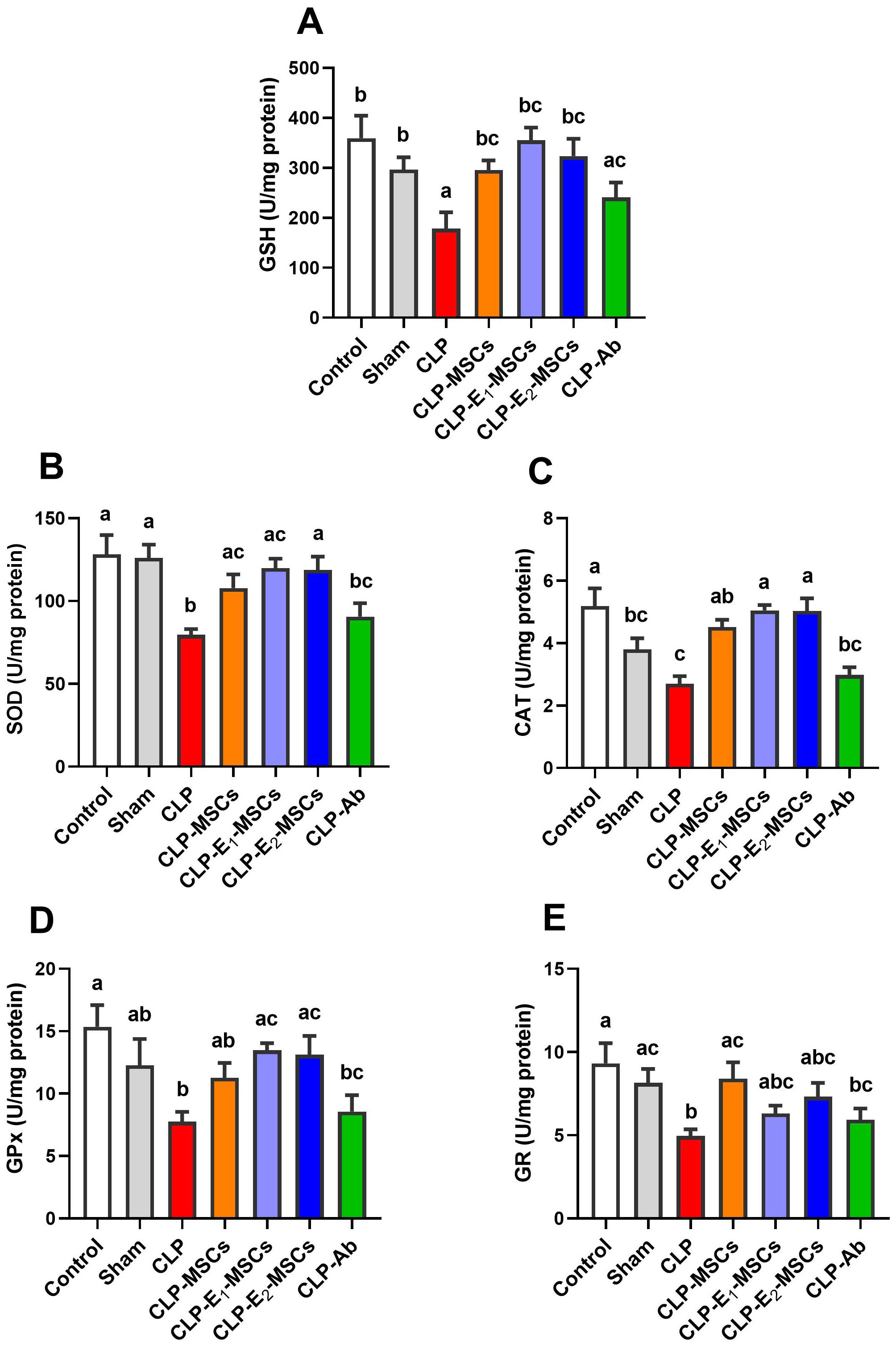 Bar charts A to E display enzyme activity levels (U/mg protein) for different treatment groups. The enzymes measured are GSH, SOD, CAT, GPx, and GR. Treatment groups include Control, Sham, CLP, CLP-MSCs, CLP-E₁-MSCs, CLP-E₂-MSCs, and CLP-Ab. Each chart uses different color bars to represent groups, with letter annotations indicating statistical significance.