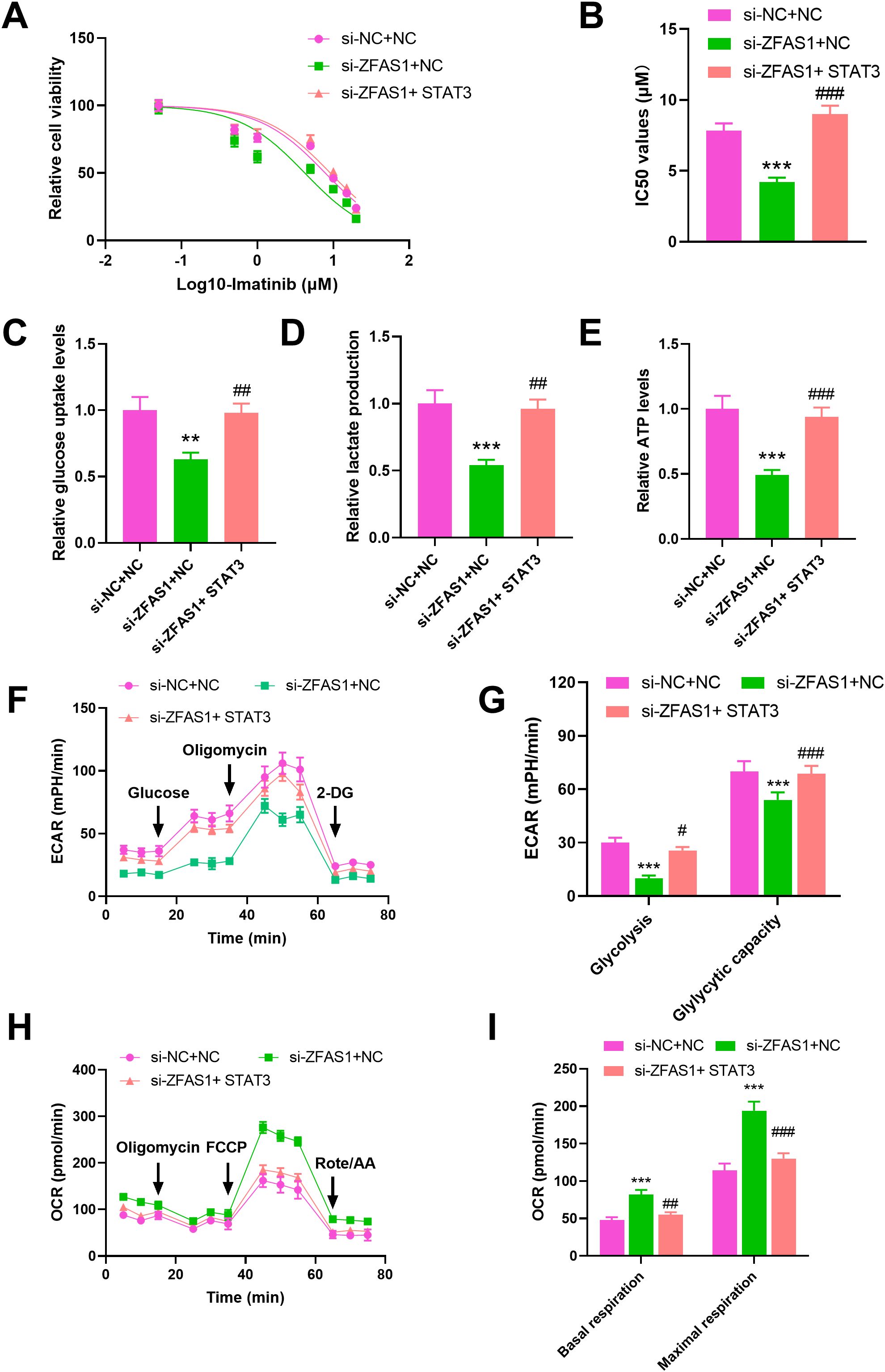 Graphs depict the effects of different treatments on cell viability and metabolic parameters. Chart A shows cell viability vs. Imatinib concentration. B illustrates IC50 values. C to E display bar graphs comparing glucose uptake, lactate production, and ATP levels. F to I exhibit line and bar graphs for extracellular acidification rate (ECAR) and oxygen consumption rate (OCR) under various compounds. Data compare treatments si-NC+NC, si-ZFAS1+NC, and si-ZFAS1+STAT3, with statistical significance between groups marked by asterisks and hash symbols.