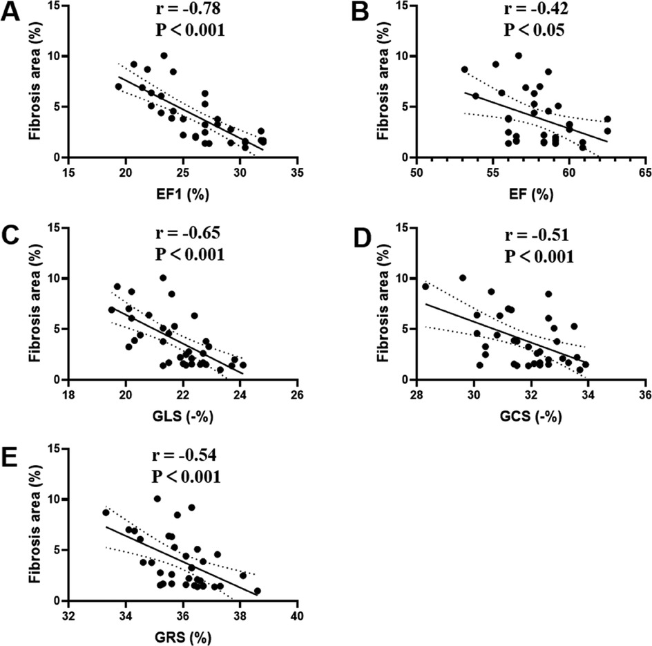 Five scatter plots showing inverse correlations between myocardial fibrosis area (%) and various cardiac functional parameters. Panel A shows a strong negative correlation with EF1 (r = -0.78, P < 0.001). Panel B shows a weaker but significant negative correlation with EF (r = -0.42, P < 0.05). Panels C, D, and E show moderate negative correlations with GLS (r = -0.65), GCS (r = -0.51), and GRS (r = -0.54), all with P < 0.001. Dotted lines represent 95% confidence intervals, and all trends indicate that greater fibrosis is associated with reduced myocardial function.