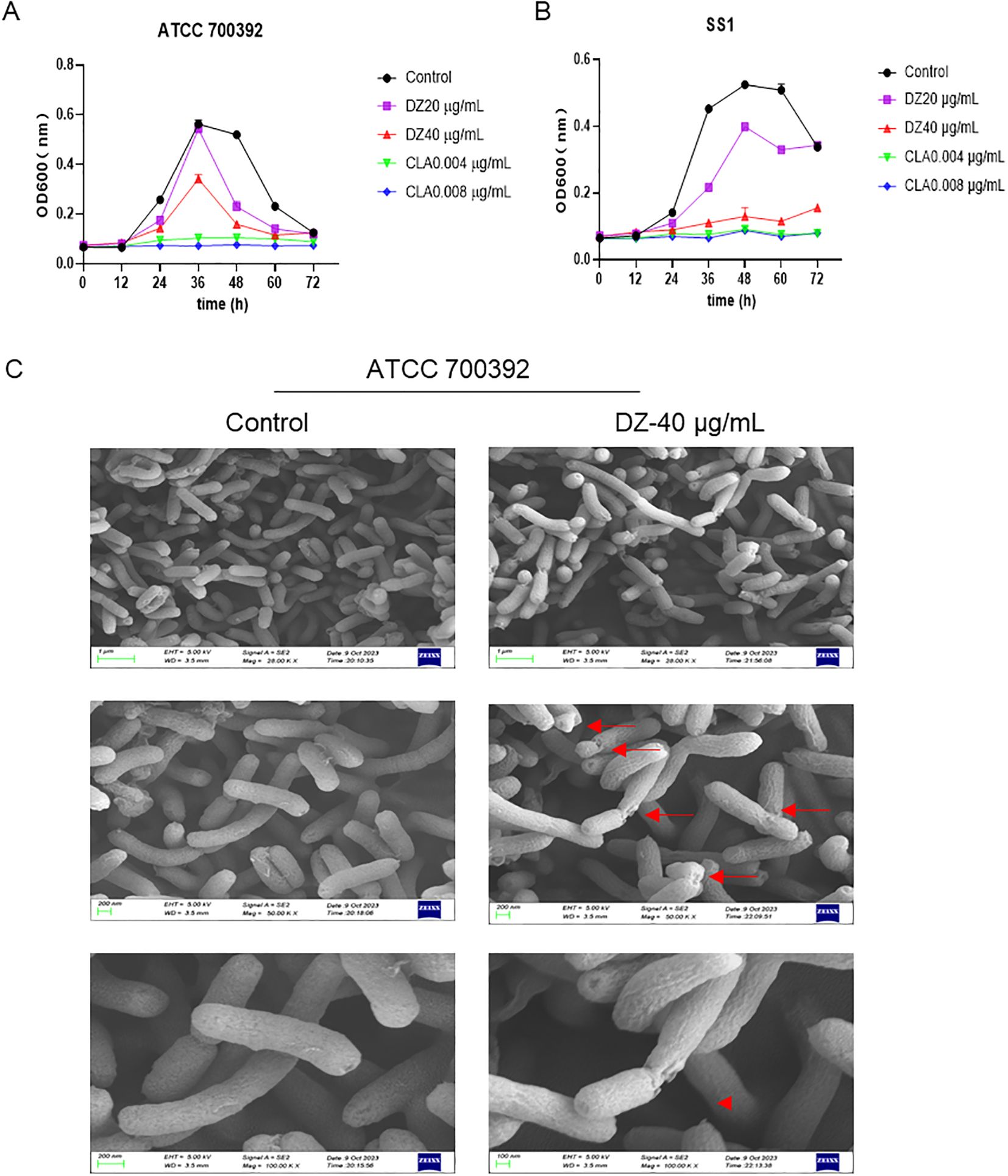 Graphs A and B show bacterial growth curves for ATCC 700392 and SS1, respectively, over seventy-two hours with different treatments: control, DZ at twenty and forty micrograms per milliliter, and CLA at 0.004 and 0.008 micrograms per milliliter. Part C displays electron microscope images of ATCC 700392 bacteria under control and DZ forty micrograms per milliliter conditions. The control images show densely packed bacteria, while the DZ-treated images reveal structural changes, indicated by red arrows.