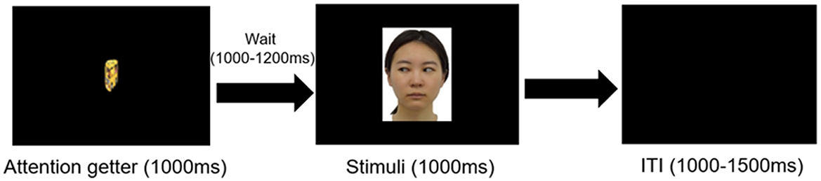 Diagram showing three stages of a visual experiment. The first stage displays an attention-getter image for one thousand milliseconds. The second stage presents a facial stimulus image for one thousand milliseconds. The third stage, labeled ITI, displays a black screen for one thousand to fifteen hundred milliseconds. Arrows indicate the sequence, with wait times between stages noted in parentheses.