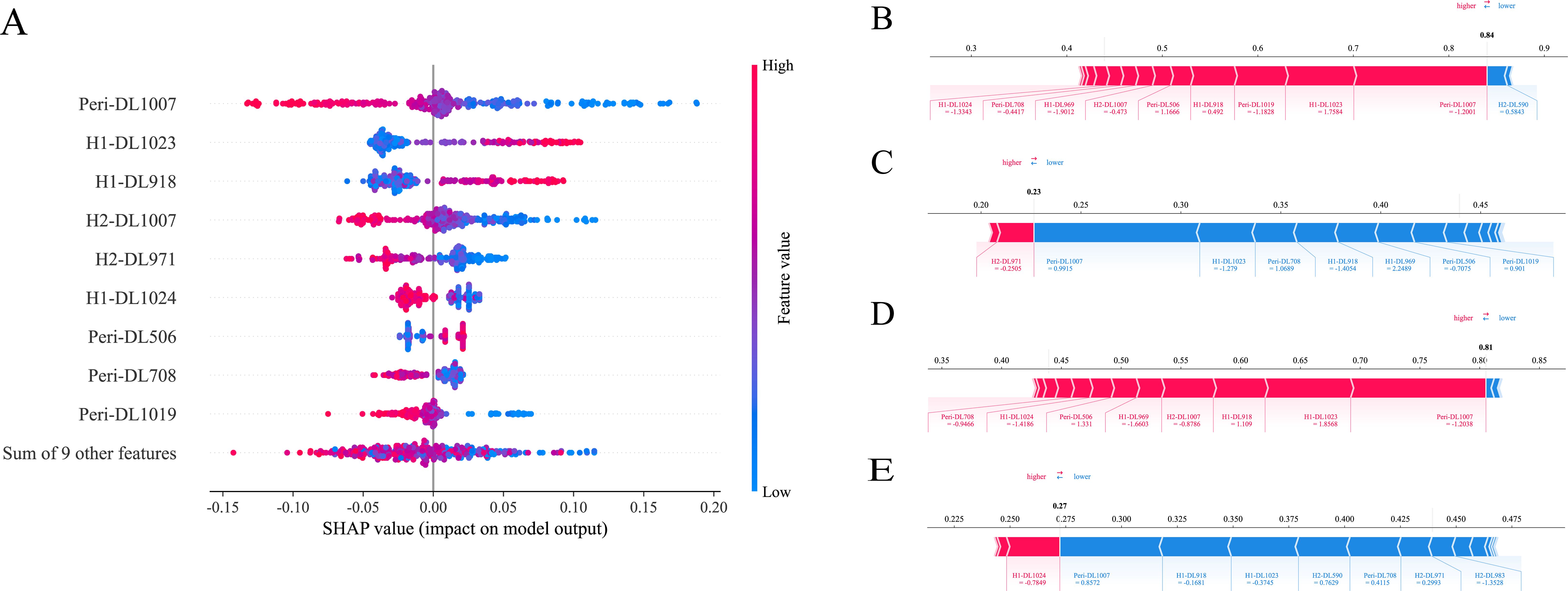 A composite image features several SHAP plots for different datasets labeled A through E. Panel A displays a dot plot showing the impact of various features on a model's output with SHAP values ranging from -0.15 to 0.20. Features are color-coded from blue to pink, indicating low to high values. Panels B, C, D, and E present bar charts with features influencing specific data points, using red for higher and blue for lower values. The visuals illustrate how each feature contributes to prediction outputs.