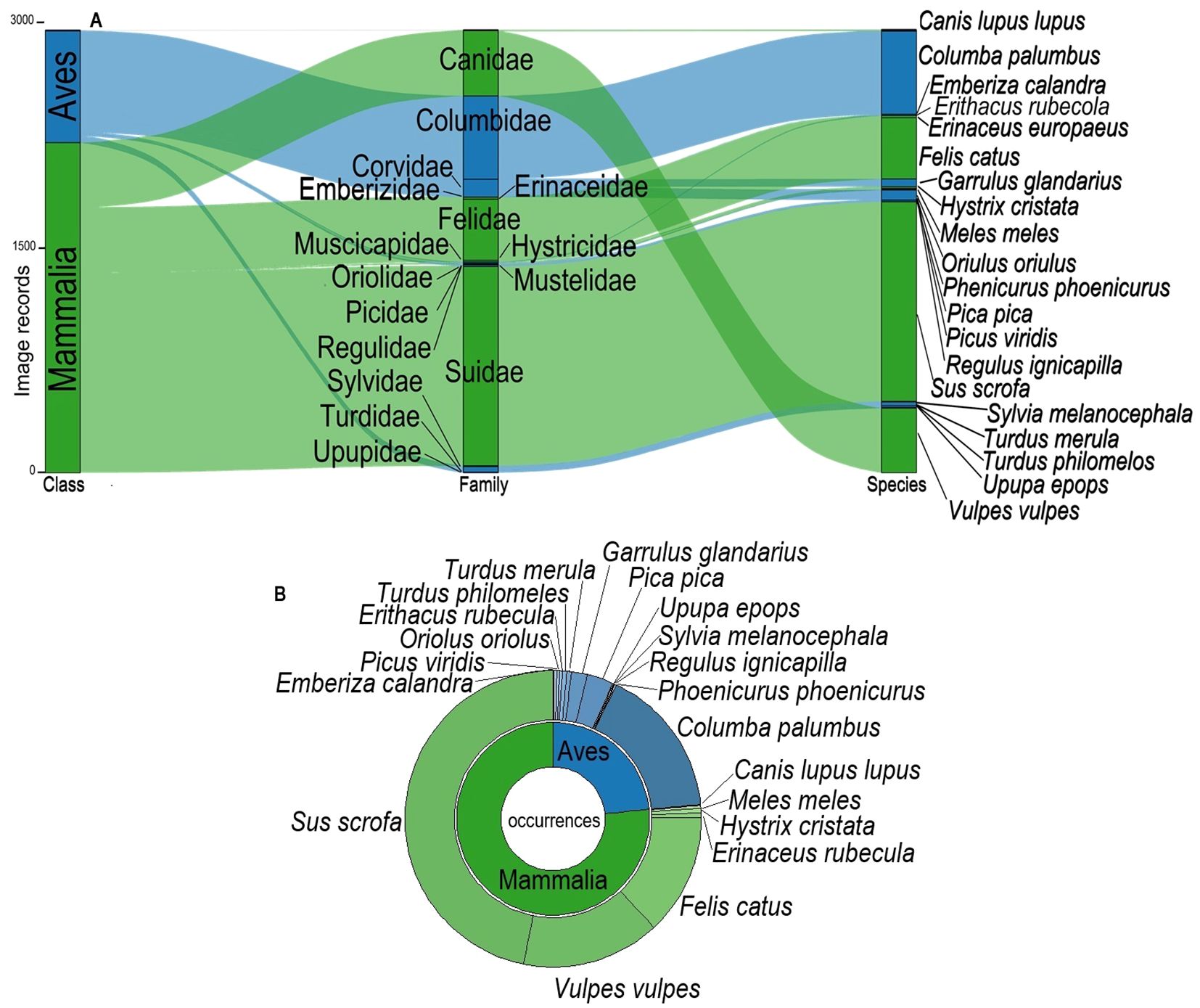 Sankey diagram and donut chart visualizing the distribution of images across different animal classes, families, and species. The Sankey diagram shows the flow from two classes, Aves and Mammalia, to various families, such as Canidae and Columbidae, and further to specific species like Canis lupus lupus and Columba palumbus. Similarly, the donut chart represents occurrences of Aves and Mammalia with species labels, illustrating proportional representation. Both graphics convey the relationship and distribution of image records across taxonomy.