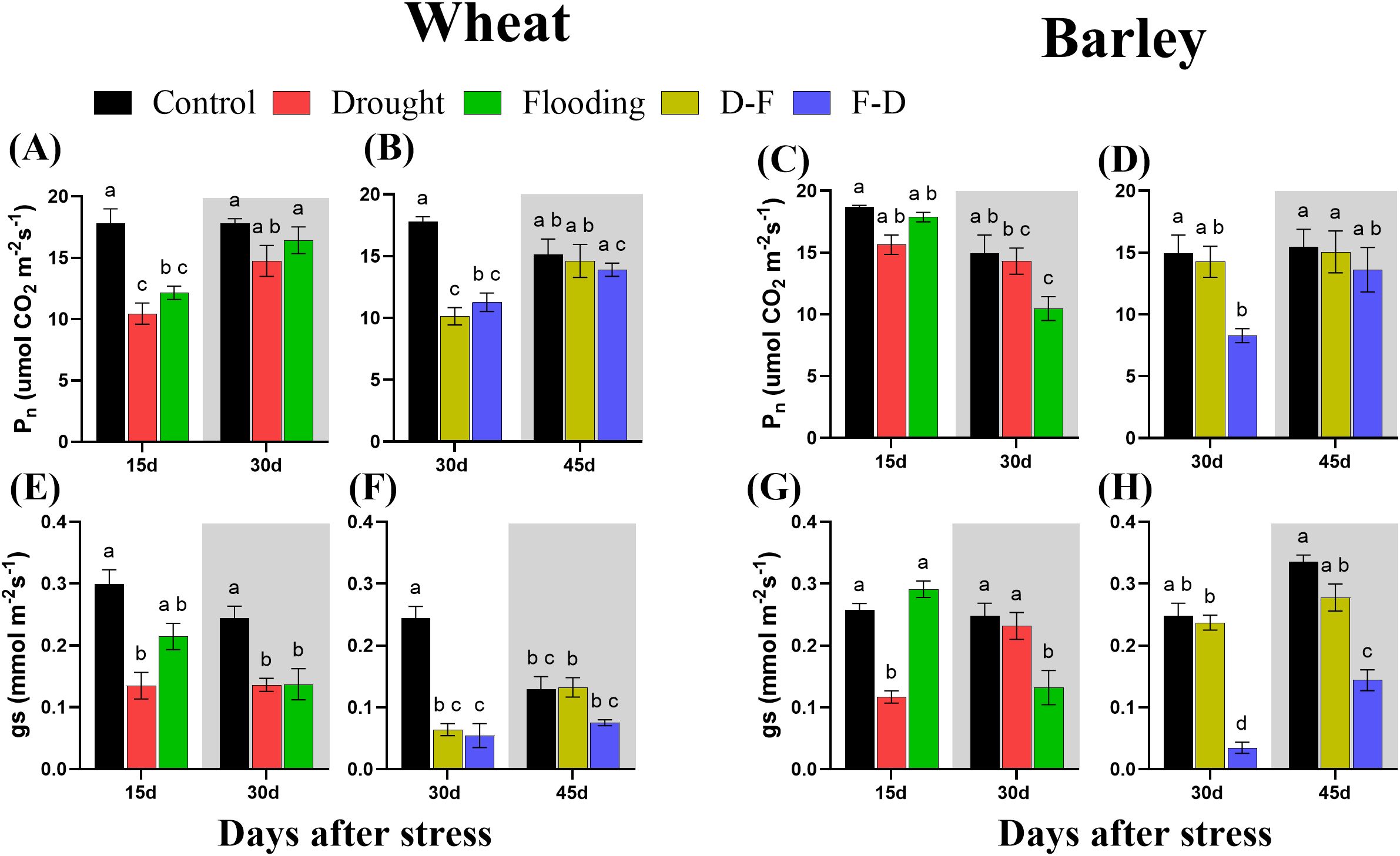 Graphs comparing wheat and barley under stress conditions: (A) and (B) show Pn for wheat over 15 to 45 days, and (C) and (D) for barley. (E) and (F) show gs for wheat and (G) and (H) for barley. Treatments include control, drought, flooding, D-F, and F-D, with varying bar colors and labeled significance levels.