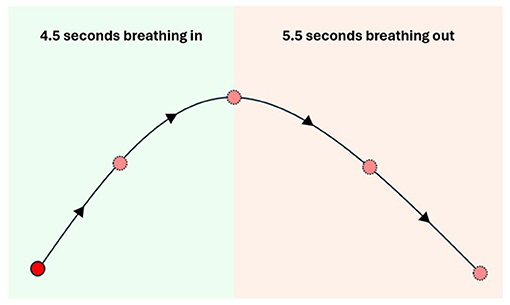 Breathing exercise diagram showing a curved path split into two sections: 4.5 seconds breathing in on the left, colored green, and 5.5 seconds breathing out on the right, colored pink. Arrows indicate the direction of breathing along the path.