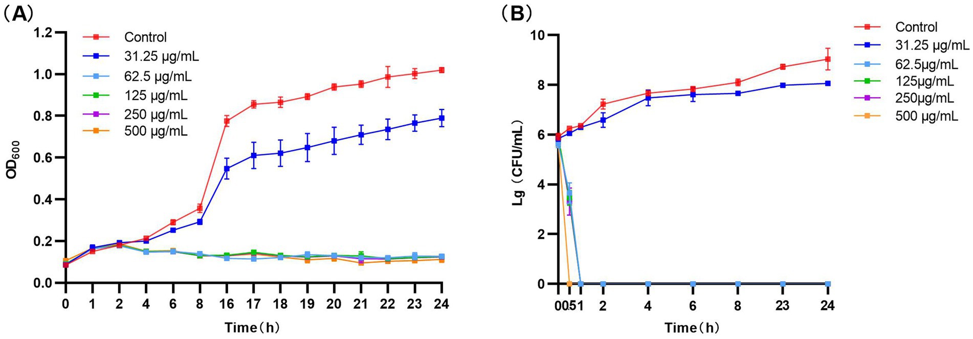 (A) Line chart showing Optical Density at 600 nm (OD₆₀₀) over 24 hours for different concentrations. Control and 31.25 μg/mL lines rise steadily, while higher concentrations remain low. (B) Line chart showing Log Colony Forming Units per milliliter (Lg CFU/mL) over 24 hours. Control and 31.25 μg/mL lines rise initially and then stabilize, while higher concentrations decline to zero. Error bars indicate variability.