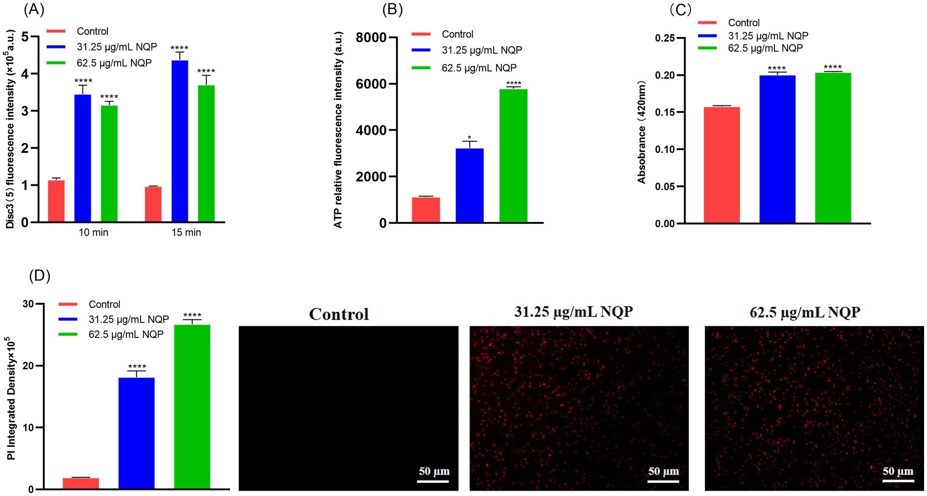 Graphs and images showing experimental results with NQP concentrations affecting cellular responses. (A) DisC3(5) fluorescence intensity, (B) ATP fluorescence intensity, and (C) absorbance at 420 nm, all increase with higher NQP concentrations compared to control. (D) PI integrated density also rises, reflected in microscopy images showing increasing fluorescence with higher NQP concentrations. Statistical significance is indicated with asterisks.