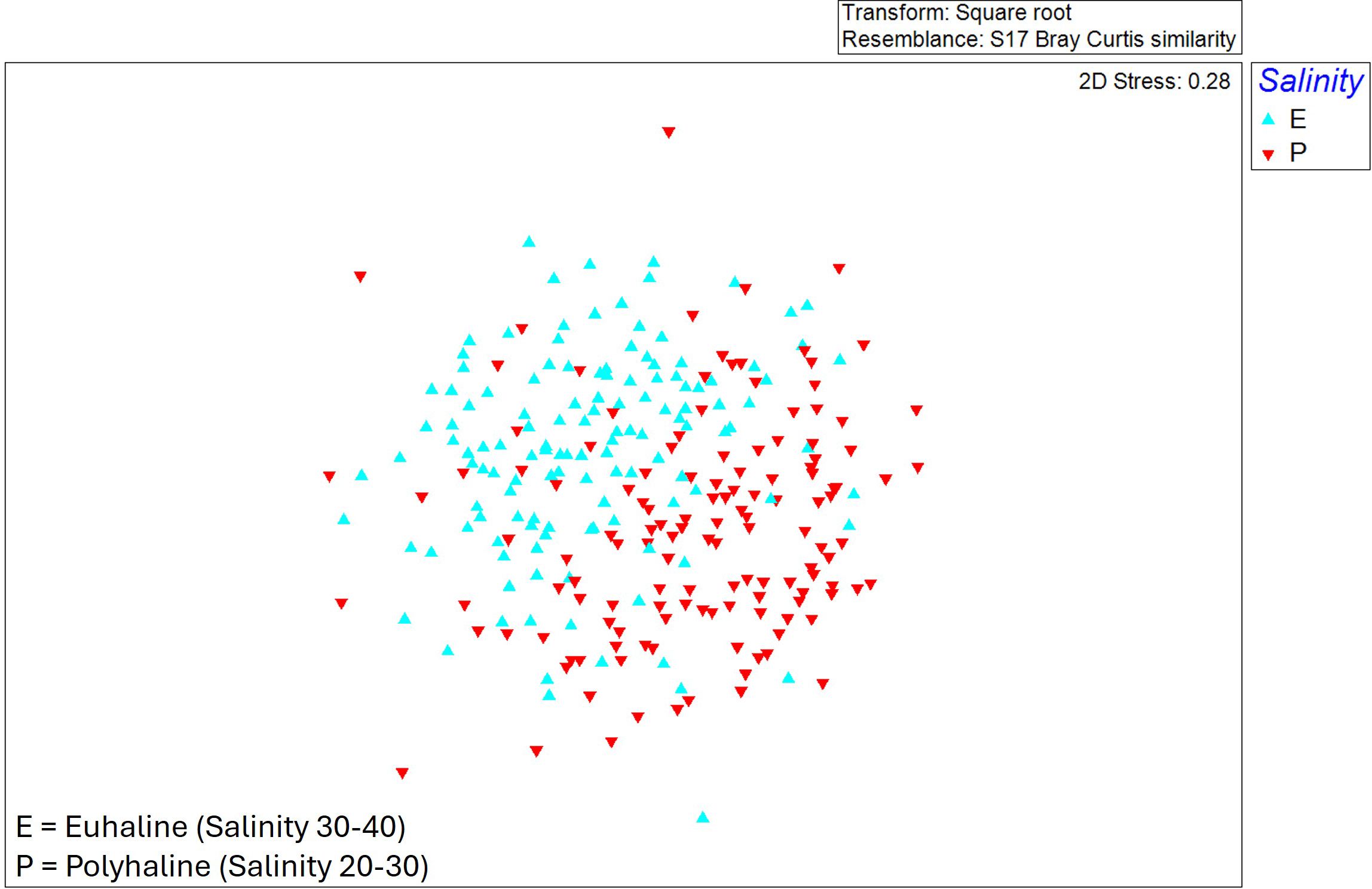 Scatter plot showing distribution of samples according with euhaline (E) and polyhaline (P) salinity levels. Euhaline, salinity 30-40, is represented by blue triangles, and polyhaline, salinity 20-30, by red inverted triangles. The plot uses square root transformation and Bray Curtis similarity with 2D stress of 0.28.