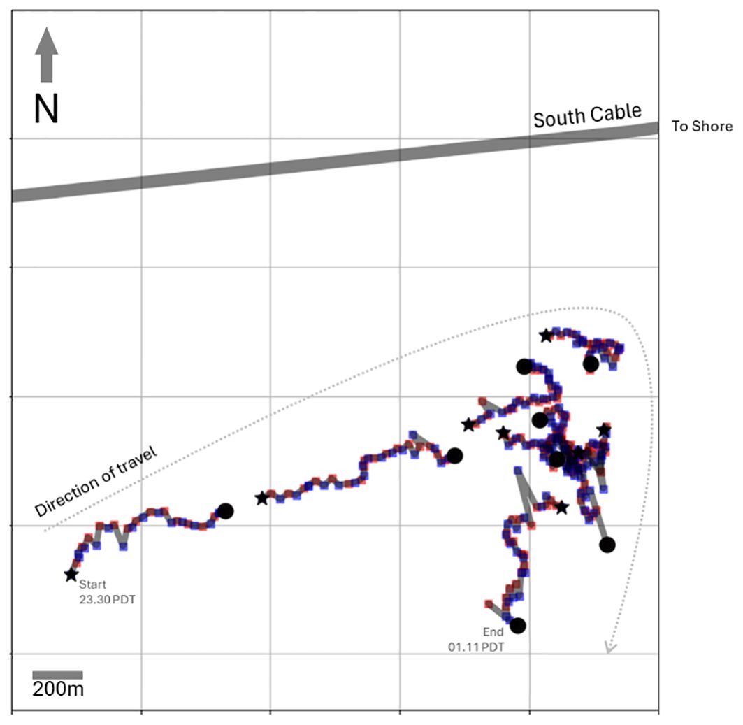 Map depicting the whale's path moving eastwards towards the coastline and then southwards. Also shown is the loation of the fibre optic sensing cable marked “South Cable.” A scale bar indicates a distance of two hundred meters. Start time is marked as twenty-three thirty PDT and end time as zero one eleven PDT.