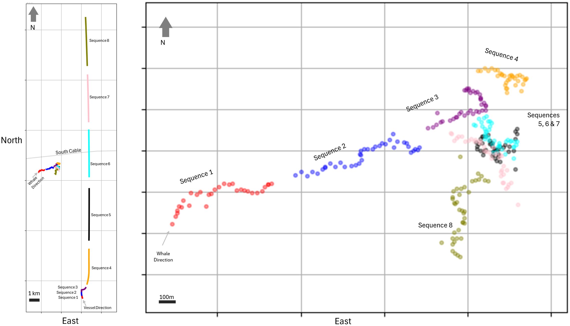Two connected graphs depicting whale movement sequences. The left graph shows sequences one through eight in different colors along a vertical orientation labeled North and South Cable. The right graph details sequences with labeled points on a grid, showing whale direction in various colors such as red, blue, and orange across East and North axes. Each sequence is marked, and directional arrows for whale and vessel movement are indicated.