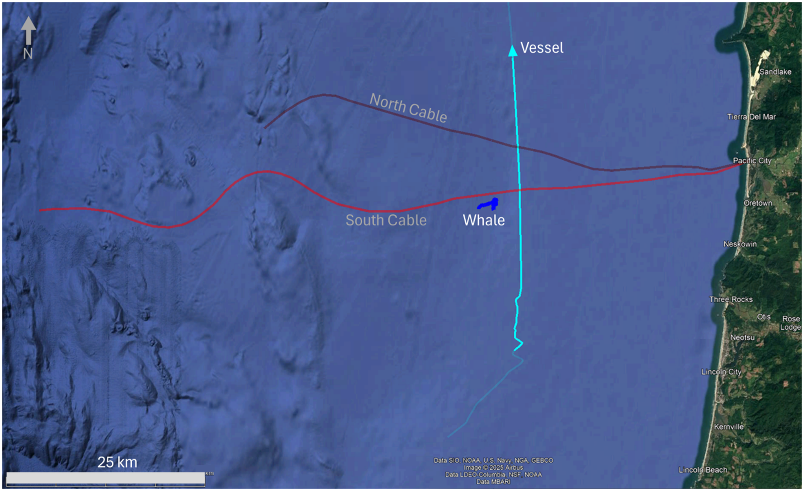 Map showing undersea cables and a vessel's route off the Oregon coast. A red line marks the South Cable, and a purple line marks the North Cable. A cyan line indicates the vessel’s path, intersecting near a point labeled “Whale.” Nearby landmarks include Pacific City, Neskowin, and Lincoln City.