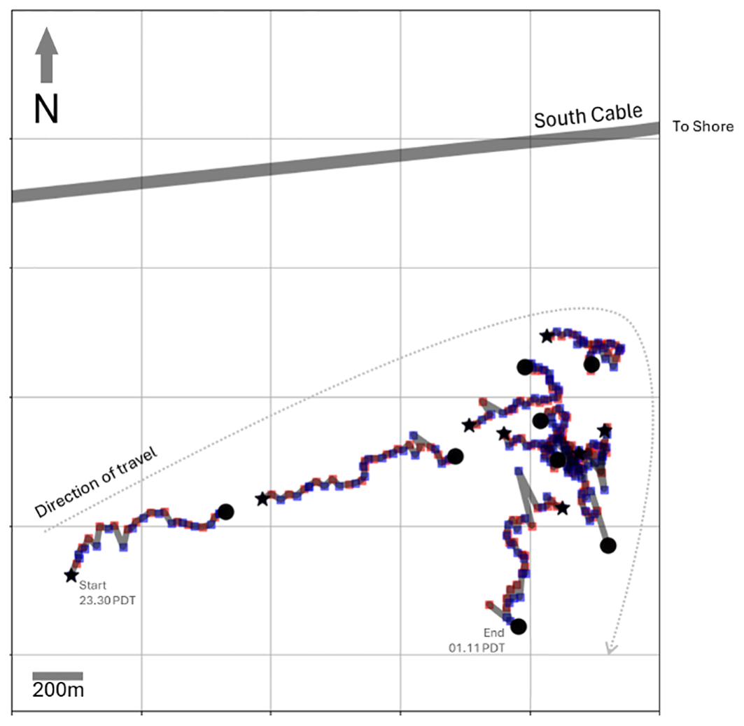 Map depicting the whale's path moving eastwards towards the coastline and then southwards. Also shown is the loation of the fibre optic sensing cable marked “South Cable.” A scale bar indicates a distance of two hundred meters. Start time is marked as twenty-three thirty PDT and end time as zero one eleven PDT.