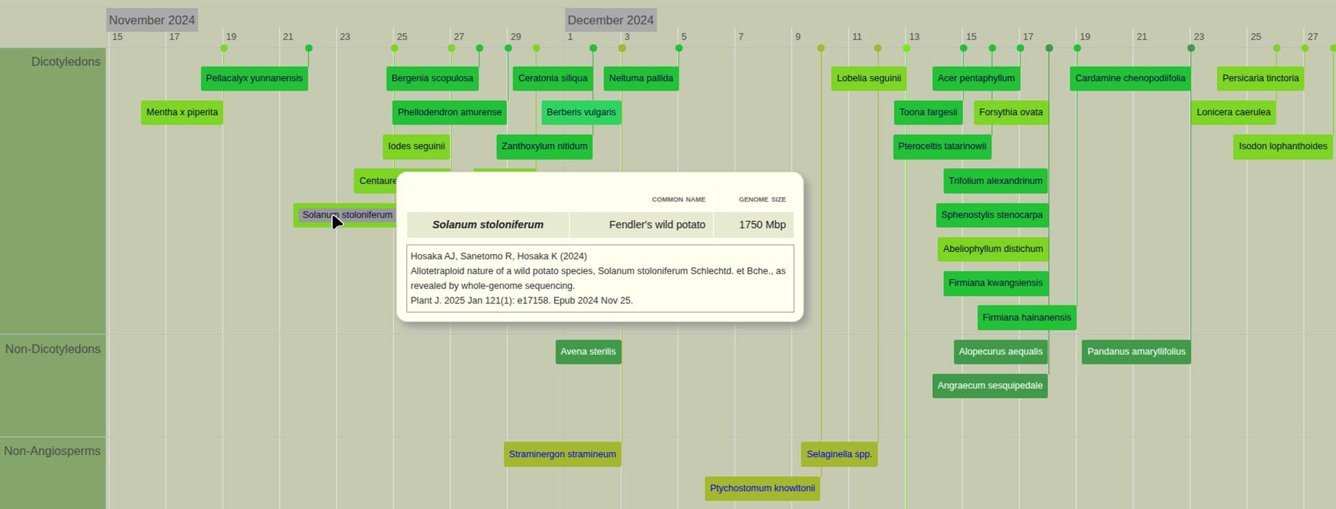 Phylogenetic tree diagram for the Sapindales order, showing various subfamilies and species. Pistacia vera, highlighted, belongs to the Anacardiaceae family. Two publications related to Pistacia research are noted, indicating genome size and insights on domestication and sex chromosome evolution.