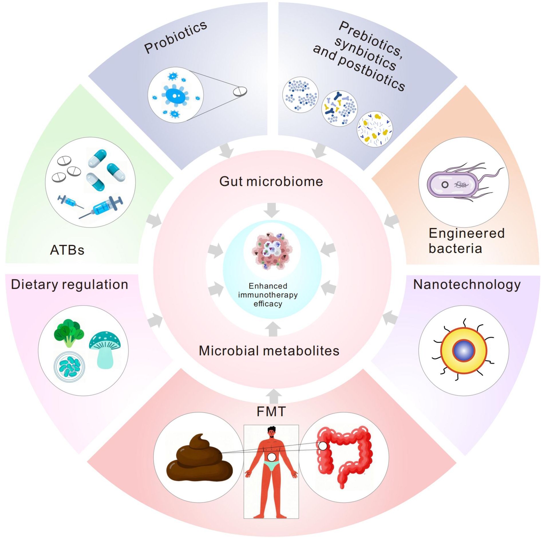 Illustration depicting the enhancement of immunotherapeutic efficacy through reshaping the gut microbiome and microbial metabolites via various strategies. The reshaping of the gut microbiome and microbial metabolites—positioned at the center—correlates with the enhanced immunotherapy efficacy highlighted in the core. Surrounding elements include probiotics, prebiotics, synbiotics, postbiotics, engineered bacteria, nanotechnology, fecal microbiota transplantation (FMT), dietary regulation, and antibiotics (ATBs). Each is symbolized by distinct icons, showing their influence on the gut microbiome and microbial metabolites