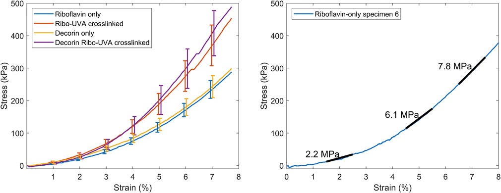 Two graphs show stress versus strain data. The left graph compares four treatments: Riboflavin only, Riboflavin-UVA crosslinked, Decorin only, and Decorin Riboflavin-UVA crosslinked. Stress increases with strain for all treatments, with Decorin Riboflavin-UVA crosslinked showing the highest stress levels. The right graph depicts a Riboflavin-only specimen, showing stress increasing from 2.2 MPa to 7.8 MPa as strain increases from 0% to 7.8%.