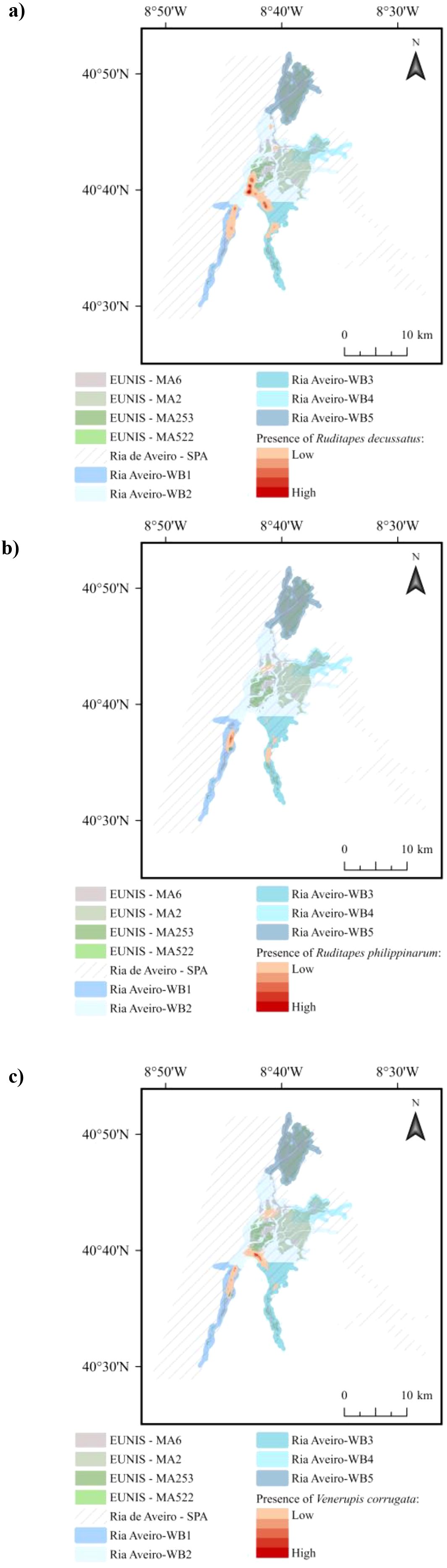 Three maps depict the Ria de Aveiro region in Portugal, showing habitat types and the presence of three bivalve species. Map a) highlights the presence of *Ruditapes decussatus*, map b) shows *Ruditapes philippinarum*, and map c) illustrates *Venerupis corrugata*. Color gradients indicate bivalve presence intensity, with legend references for different habitats and water bodies. A north arrow and coordinate grid provide geographical context.