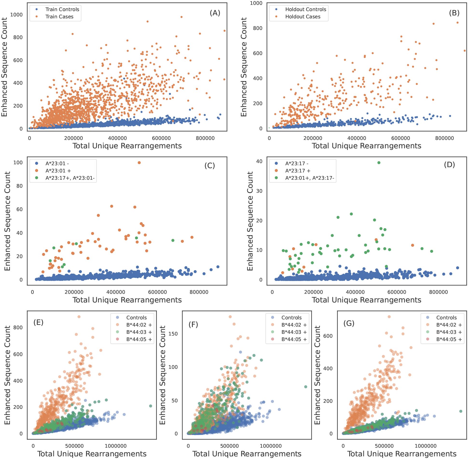 Seven scatter plots showing relationships between total unique rearrangements and enhanced sequence count. Panels A and B compare train and holdout groups by controls and cases. Panels C and D analyze different A alleles, and panels E, F, and G analyze B alleles. Each plot displays a positive trend, with specific allele groupings marked by color-coded dots.