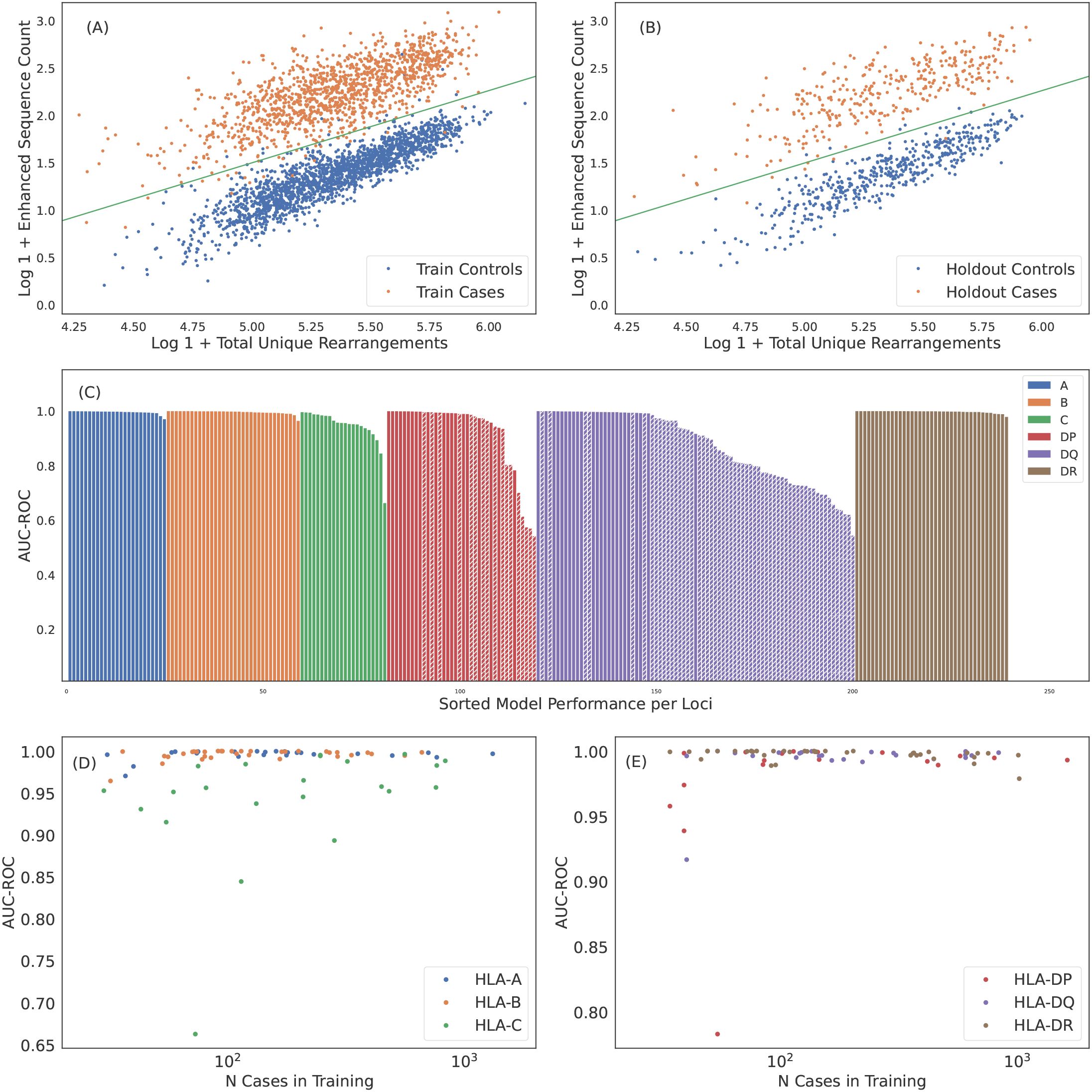 Five-panel figure with graphs showcasing sequence data analysis: 1. Panel (A): Scatter plot showing train controls (blue) and train cases (orange) with log-transformed enhanced sequence counts versus total unique rearrangements; a positive correlation line is present. 2. Panel (B): Similar scatter plot for holdout controls and cases, depicting a similar trend. 3. Panel (C): Bar graph of model performance across loci with varying AUC-ROC values, color-coded by loci types. 4. Panel (D): Scatter plot displaying AUC-ROC against the number of cases in training for HLA-A, B, and C loci. 5. Panel (E): Scatter plot for HLA-DP, DQ, and DR loci with similar metrics as panel D.