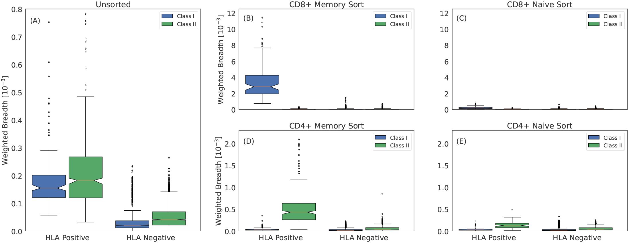 Box plots showing weighted breadth in \(10^{-3}\) for various conditions. (A) Unsorted: HLA Positive and Negative, Class I and II. (B) CD8+ Memory Sort: Class I and II. (C) CD8+ Naive Sort: Class I and II. (D) CD4+ Memory Sort: HLA Positive and Negative, Class I and II. (E) CD4+ Naive Sort: HLA Positive and Negative, Class I and II. Higher values observed in HLA Positive for Class II in several panels.