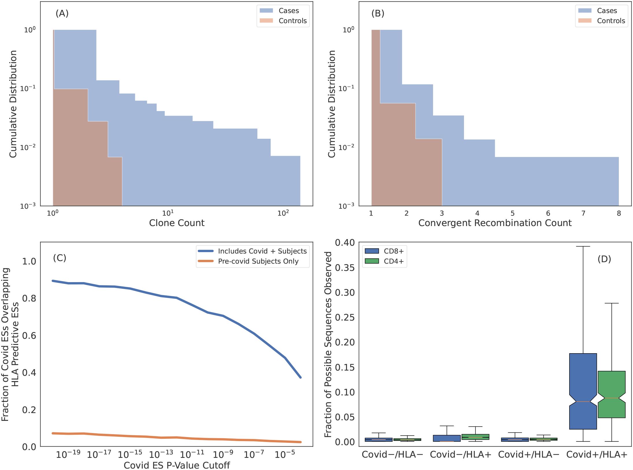 Four-panel figure illustrating data distribution and analysis related to COVID. Panel A: Histogram showing cumulative distribution of clone count for cases (blue) and controls (brown). Panel B: Histogram displaying cumulative distribution of convergent recombination count for cases (blue) and controls (brown). Panel C: Line graph depicting fraction of COVID-effective sequences overlapping HLA predictive sequences across p-value cutoffs, comparing COVID-positive subjects (blue) and pre-COVID subjects (brown). Panel D: Box plot showing fraction of possible sequences observed among groups defined by COVID and HLA status, comparing CD8+ (blue) and CD4+ (green) cells.