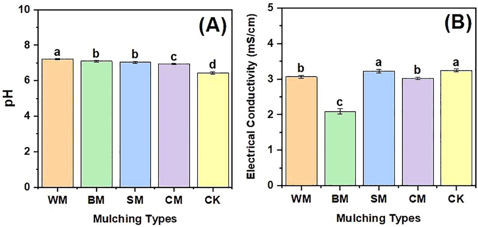 Bar charts labeled A and B compare mulching types. Chart A shows pH levels, ranging from 6.5 to 7, with WM highest and CK lowest. Chart B displays electrical conductivity, with SM and CK having highest values around 3.5 mS/cm, while BM is lowest at approximately 2 mS/cm. Error bars indicate variability.