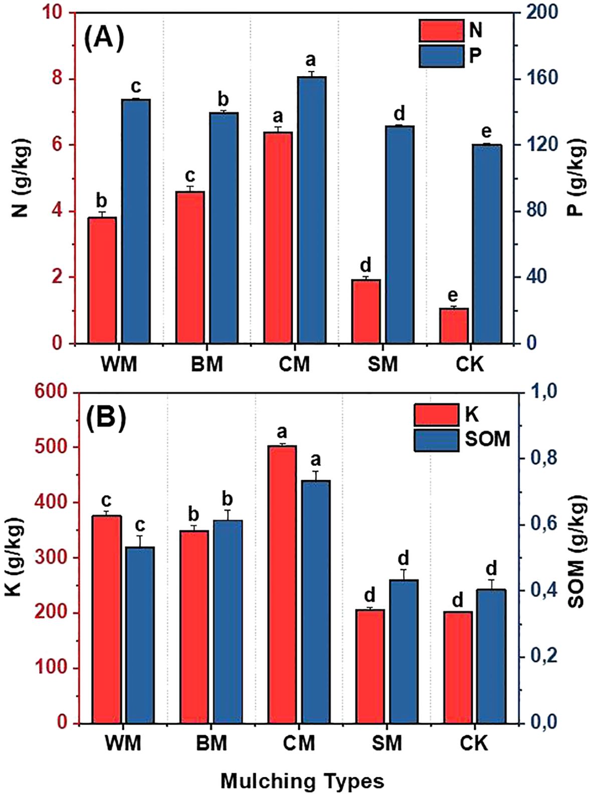 Bar charts comparing nutrient content in different mulching types. Chart A shows nitrogen (N) and phosphorus (P) levels, with CM having the highest values and CK the lowest. Chart B illustrates potassium (K) and soil organic matter (SOM), with CM again showing the highest levels. Mulching types include WM, BM, CM, SM, and CK, each with varying nutrient values.