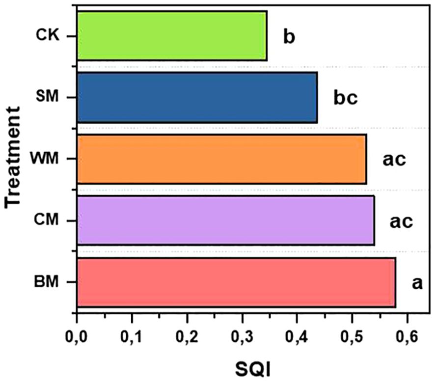 Bar chart comparing SQI values for five treatments: CK, SM, WM, CM, and BM. CK has the lowest value at approximately 0.25, labeled “b”. SM is slightly higher, around 0.3, labeled “bc”. WM and CM are similar, around 0.5, labeled “ac”. BM is the highest at about 0.55, labeled “a”.