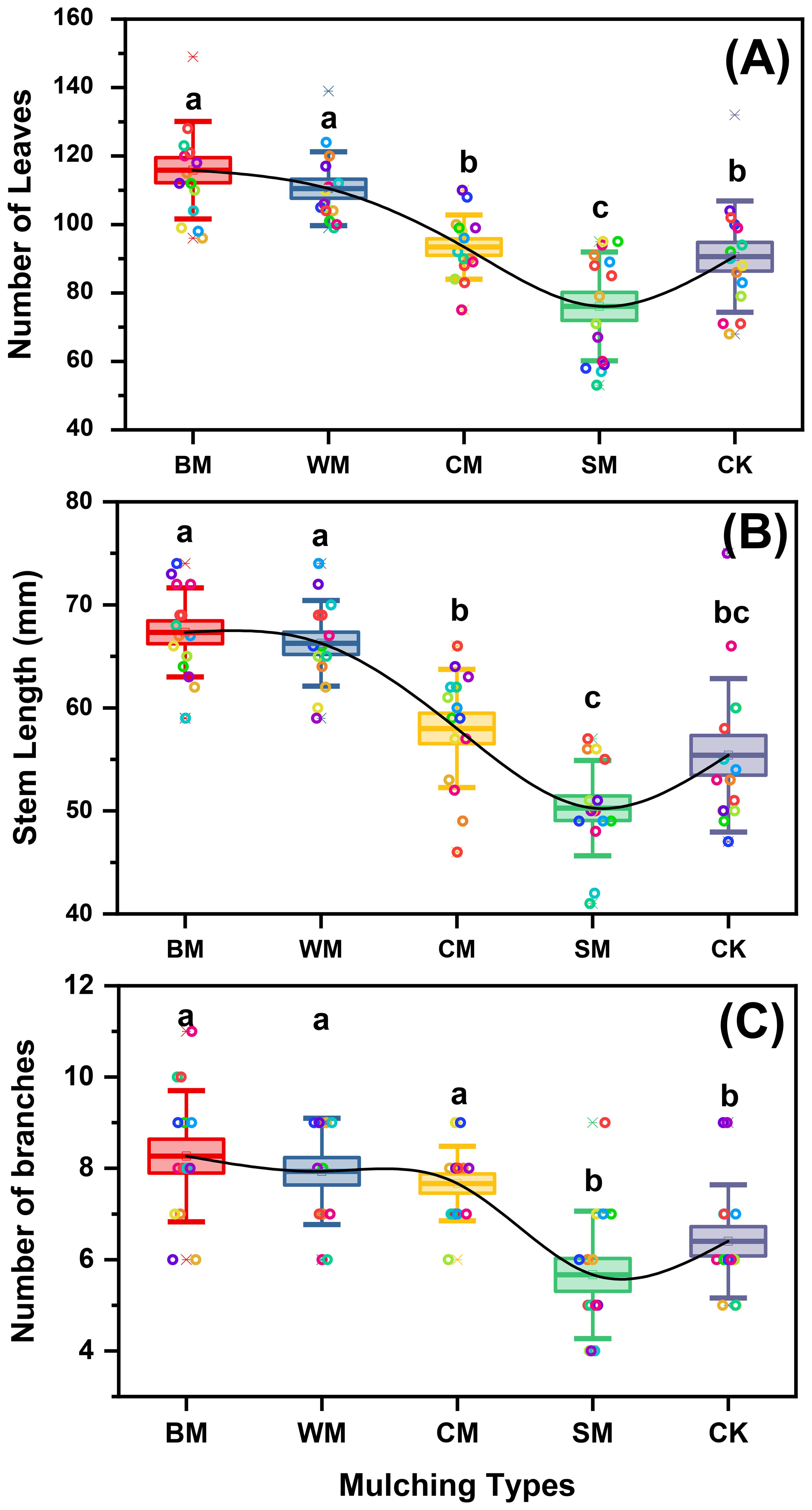 Three box plots show the impact of different mulching types on plant growth. (A) Number of leaves is highest in BM and WM, and lowest in SM. (B) Stem length has similar trends, with BM and WM being highest, and SM lowest. (C) Number of branches is similar between BM, WM, and CM, with SM lowest. CK shows varied results in each plot. Each graph compares BM, WM, CM, SM, and CK mulching types.