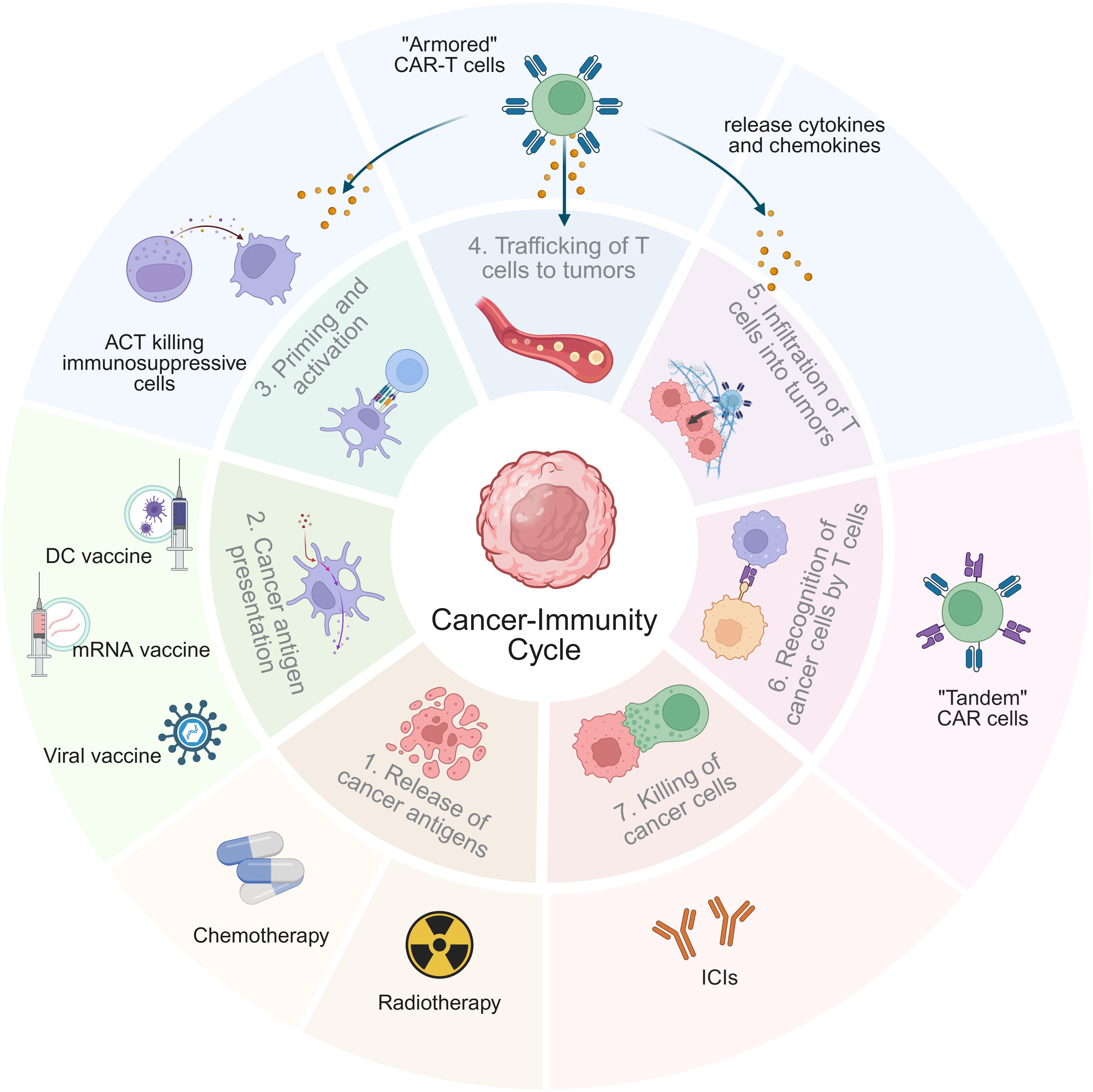 Diagram of the Cancer-Immunity Cycle illustrating seven stages: 1) Release of cancer antigens, 2) Cancer antigen presentation via vaccines, 3) Priming and activation by ACT and immunosuppressive cells, 4) Trafficking of T cells to tumors, 5) Infiltration of T cells into tumors, 6) Recognition of cancer cells by T cells using tandem CAR cells, and 7) Killing of cancer cells. Additional elements include chemotherapy, radiotherapy, ICIs, and armored CAR-T cells releasing cytokines and chemokines.