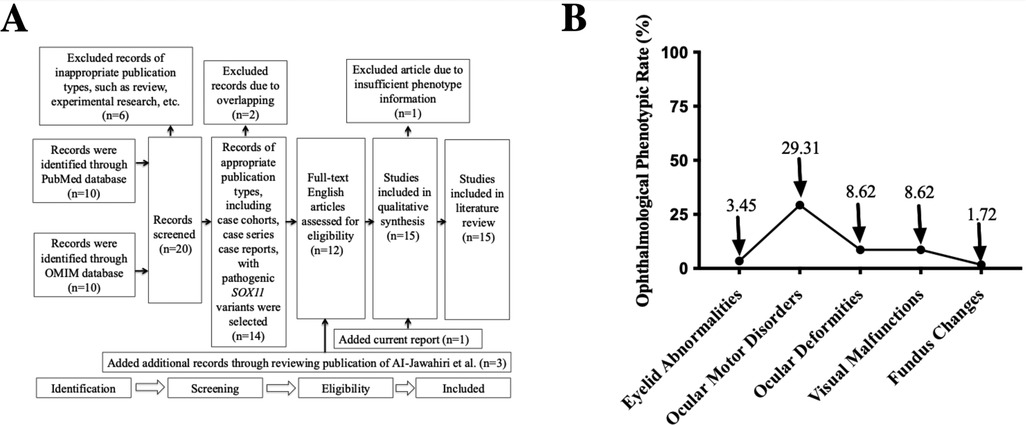 Diagram A is a flowchart detailing the selection process for studies, starting from identification to inclusion. Diagram B is a line graph showing ophthalmological phenotypic rates, with categories like eyelid abnormalities at three point four five percent and ocular motor disorders at twenty-nine point three one percent.