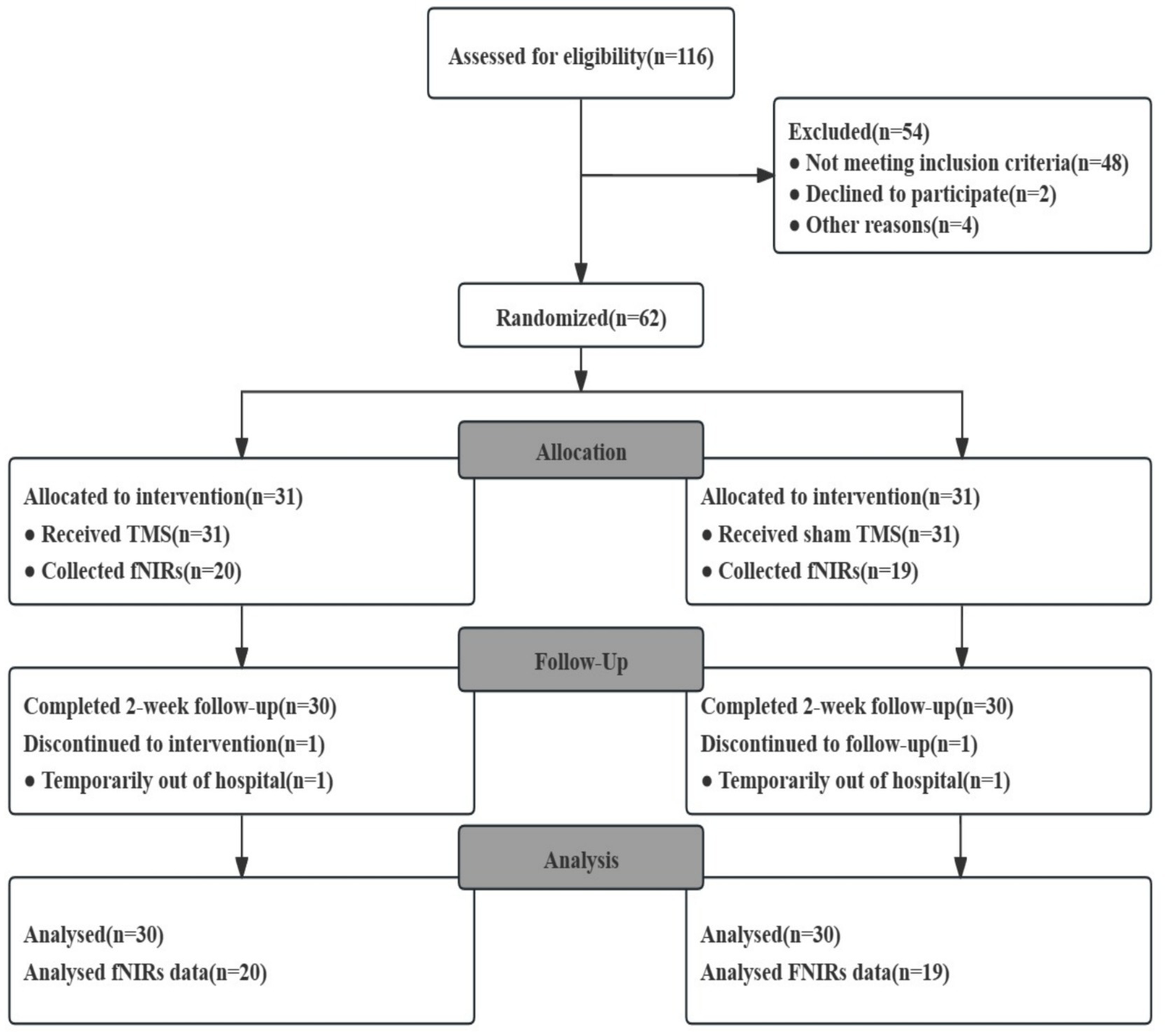 Flowchart depicting a study process: 116 individuals were assessed; 54 were excluded. 62 participants were randomized into two groups of 31 each. One group received TMS; the other, sham TMS. Follow-up included 30 in each group, with one participant from each temporarily out of the hospital. Final analysis included 30 in each group, with fNIRS data collected from 20 and 19 participants, respectively.