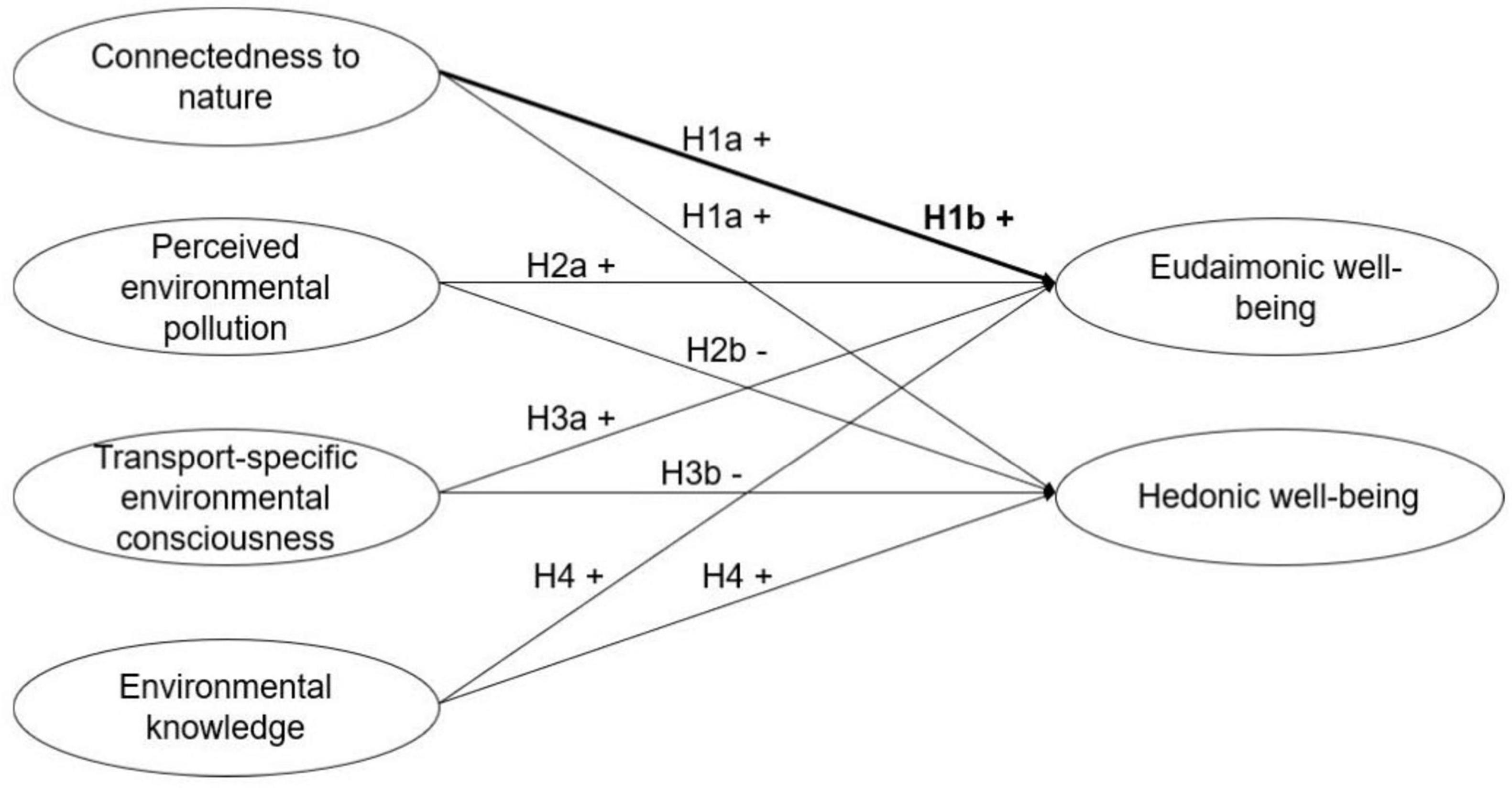 Diagram illustrating hypotheses on factors affecting wellbeing. Variables include connectedness to nature, perceived environmental pollution, transport-specific environmental consciousness, and environmental knowledge. Hypotheses H1a, H1b, H2a, H3a, and H4 positively affect eudaimonic and hedonic wellbeing, while H2b and H3b negatively impact hedonic well-being. The other Alt-Texts are appropriate.