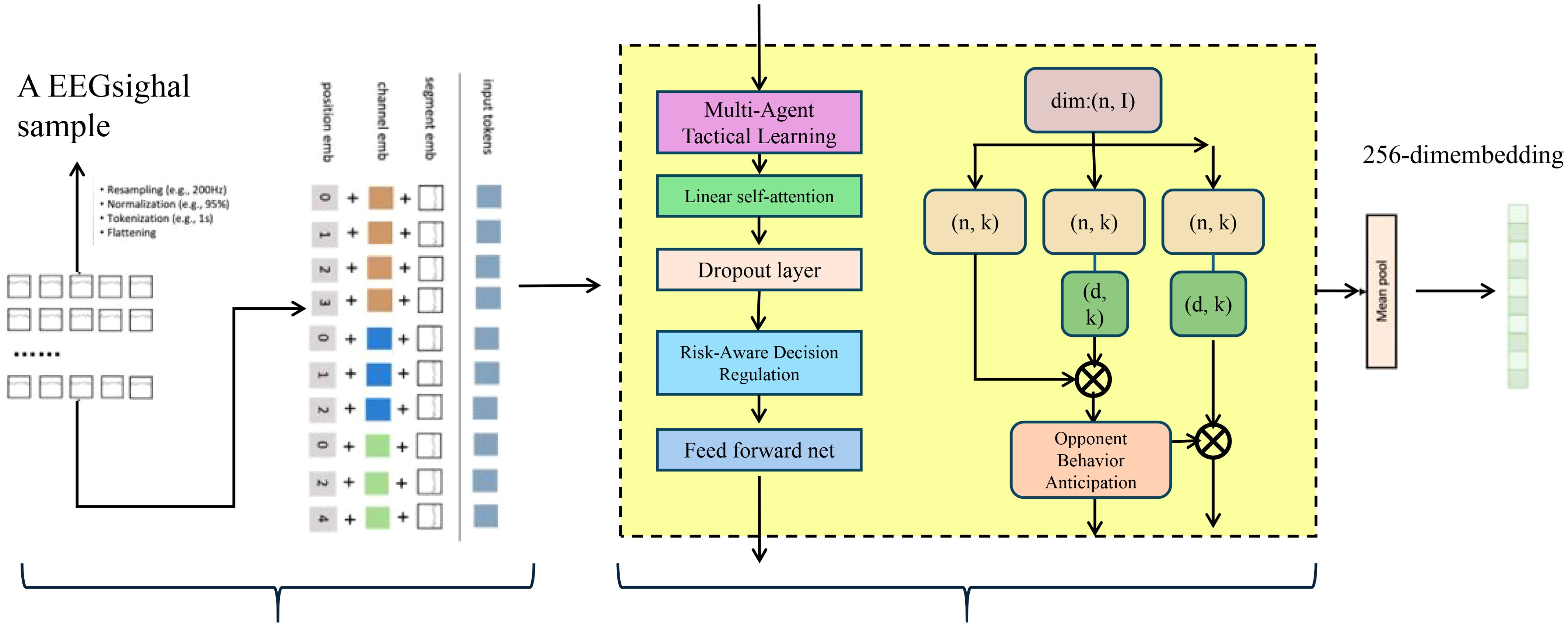 Flowchart showing an EEG signal processing model. It begins with EEG sample preprocessing, including resampling, normalization, tokenization, and flattening. Input tokens are represented by position, channel, and segment embeddings. The process continues with multi-agent tactical learning, linear self-attention, a dropout layer, risk-aware decision regulation, and a feedforward network. Dimensional operations and opponent behavior anticipation are also outlined, leading to a 256-dimensional embedding output.