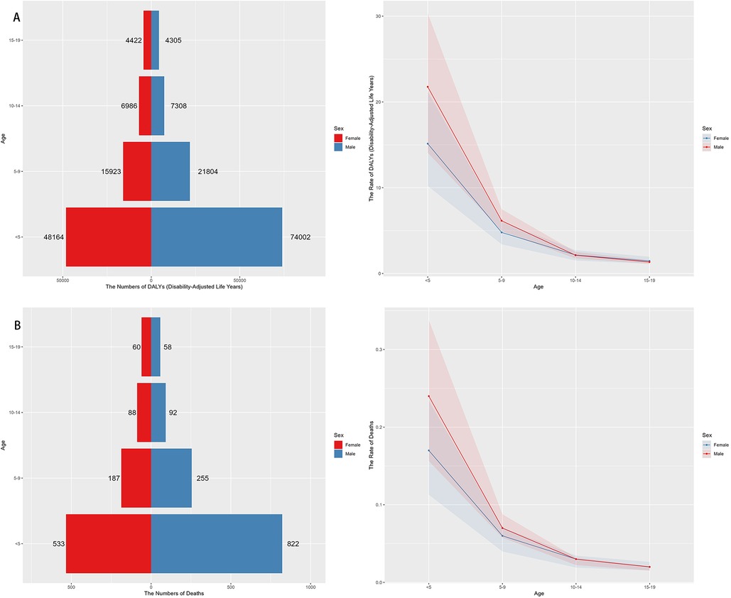 Two panels showing sex- and age-specific distributions of NPNTs burden in 2021. Panel A presents DALYs by sex and age group with both numbers and ASRs. Panel B presents deaths by sex and age group, also with numbers and ASRs. Bars or lines are arranged by age categories for males and females to visualize where burden concentrates across childhood and adolescence and how standardized rates compare with absolute counts for each sex.