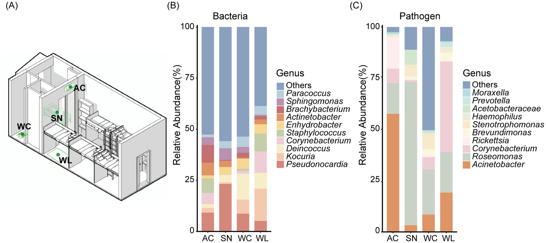Diagram of a room layout with labeled areas: AC, SN, WC, WL, indicating sampling locations. Two bar charts show the relative abundance of bacterial genera and pathogens in these areas. Chart B displays bacterial genera such as Paracoccus and Staphylococcus, while Chart C shows pathogens like Moraxella and Acinetobacter. Both charts present data in percentage for each location.