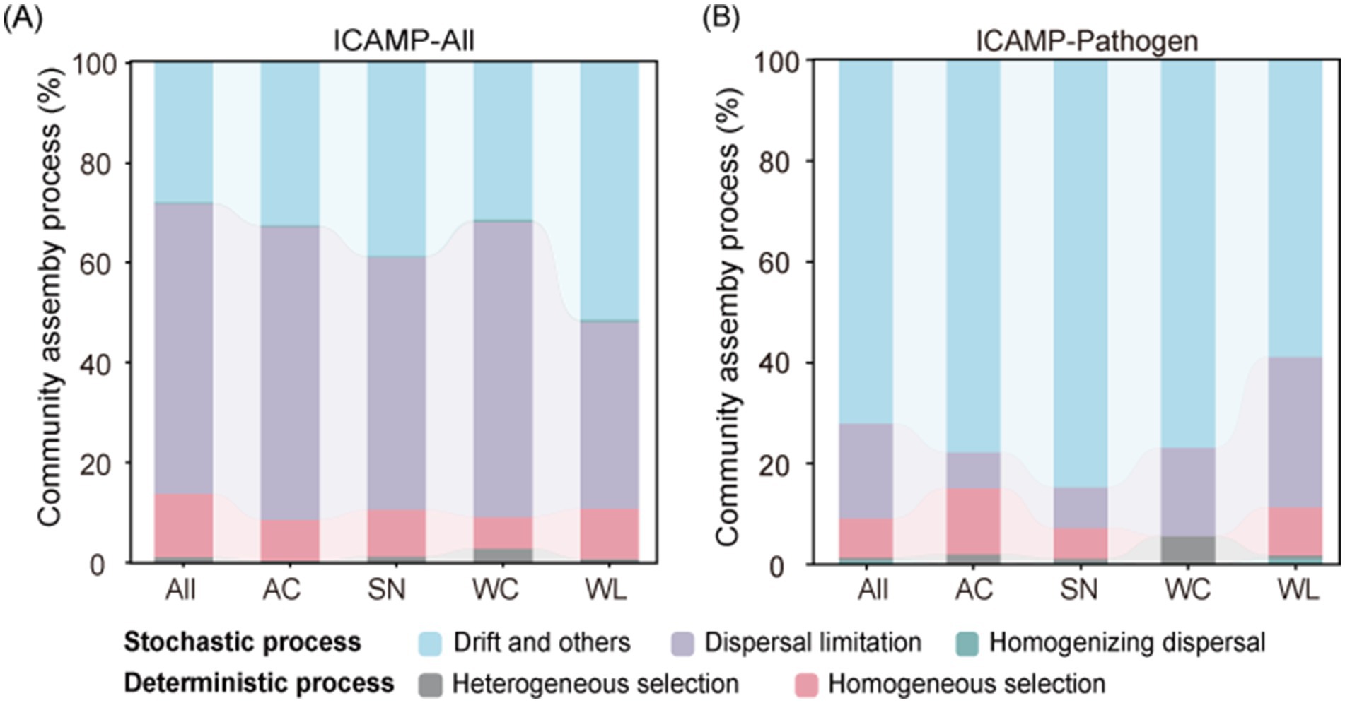 Bar charts labeled ICAMP-All and ICAMP-Pathogen compare community assembly processes. Percentages are shown for stochastic processes (light blue for drift and others) and deterministic processes (purple for dispersal limitation, teal for homogenizing dispersal, pink for heterogeneous selection, and gray for homogeneous selection). Categories include All, AC, SN, WC, and WL.